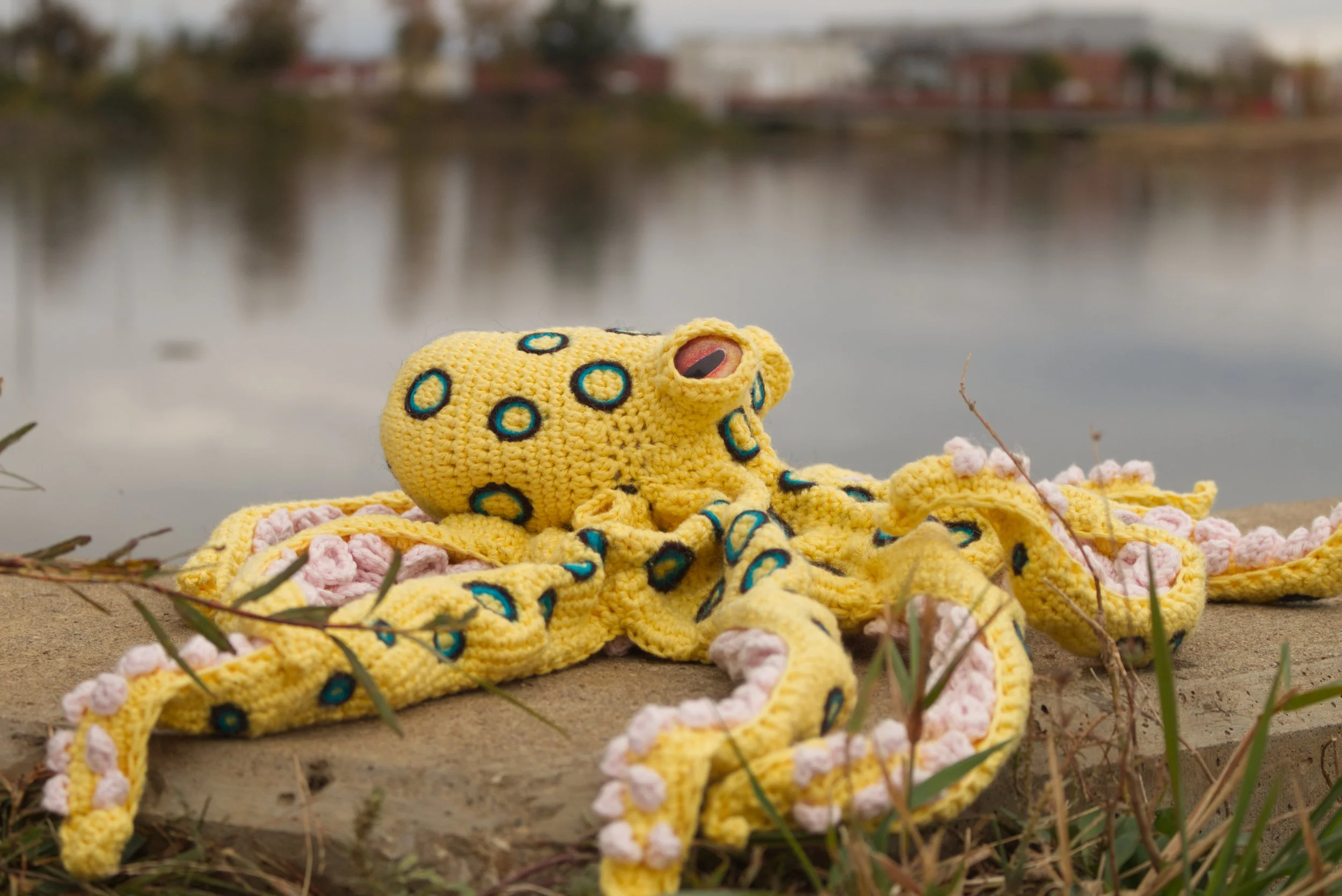 A crocheted Blue Ringed Octopus on a cement slab overlooking water