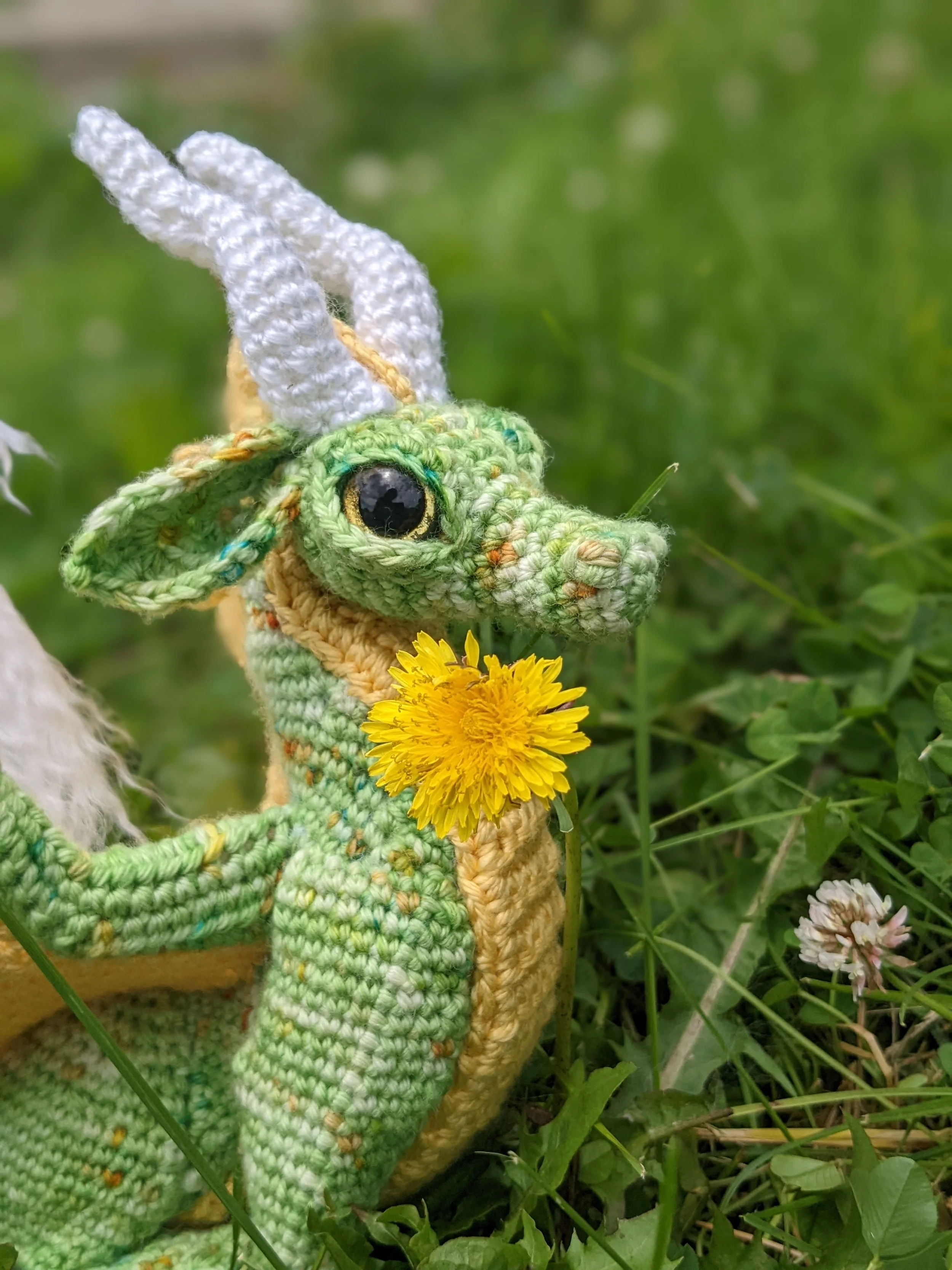 Dandelion Dragon.jpg