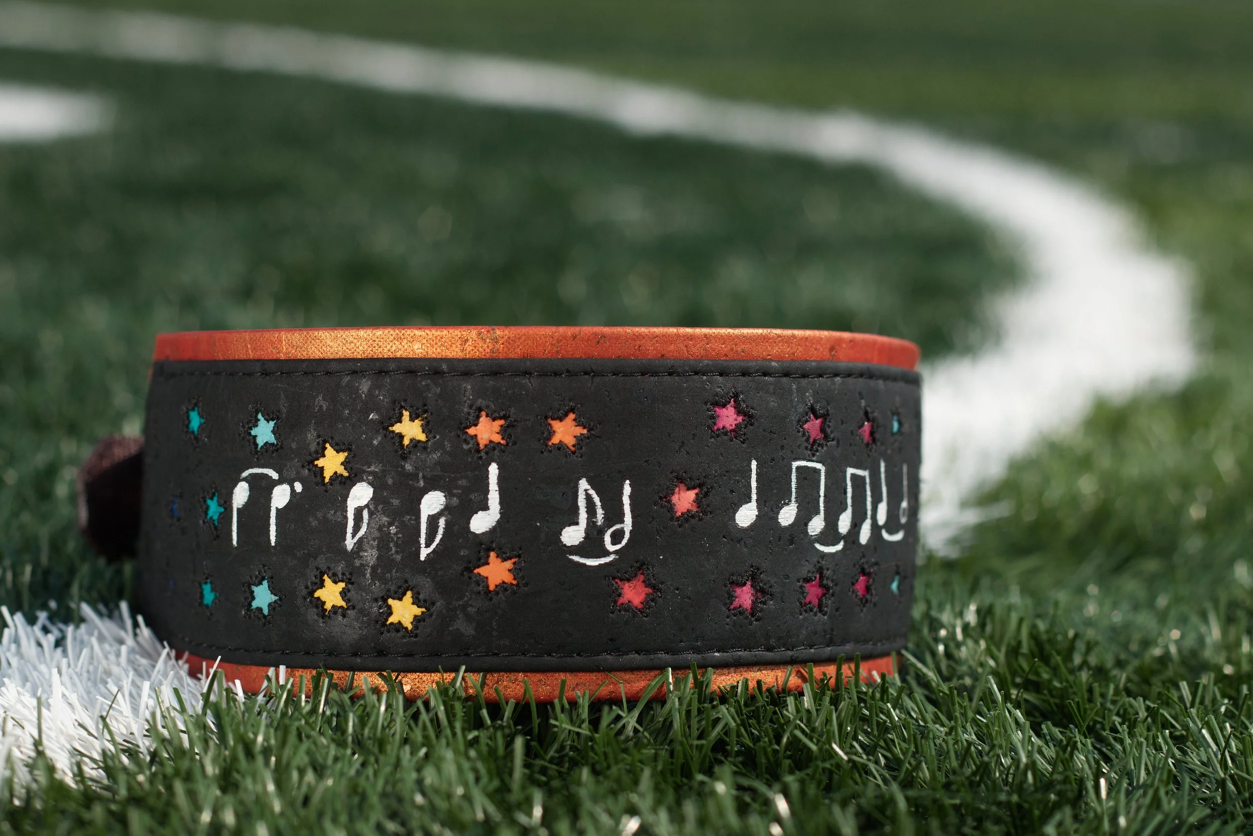 Pokemon Theme Song Lyric Dog Collar 2.jpg