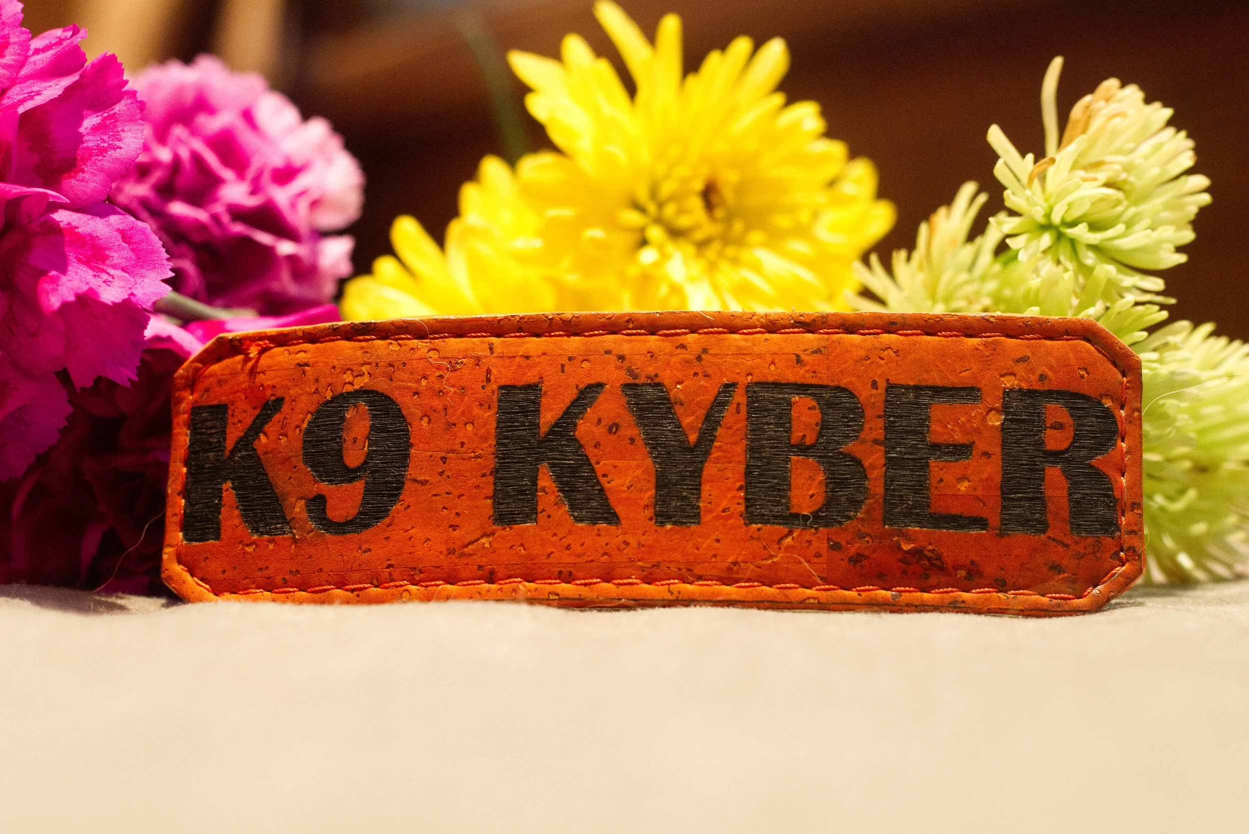 Cork SAR Patch Custom.jpg