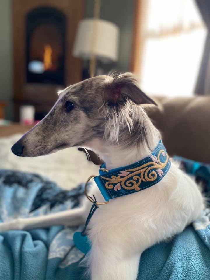 Tillie.jpg
