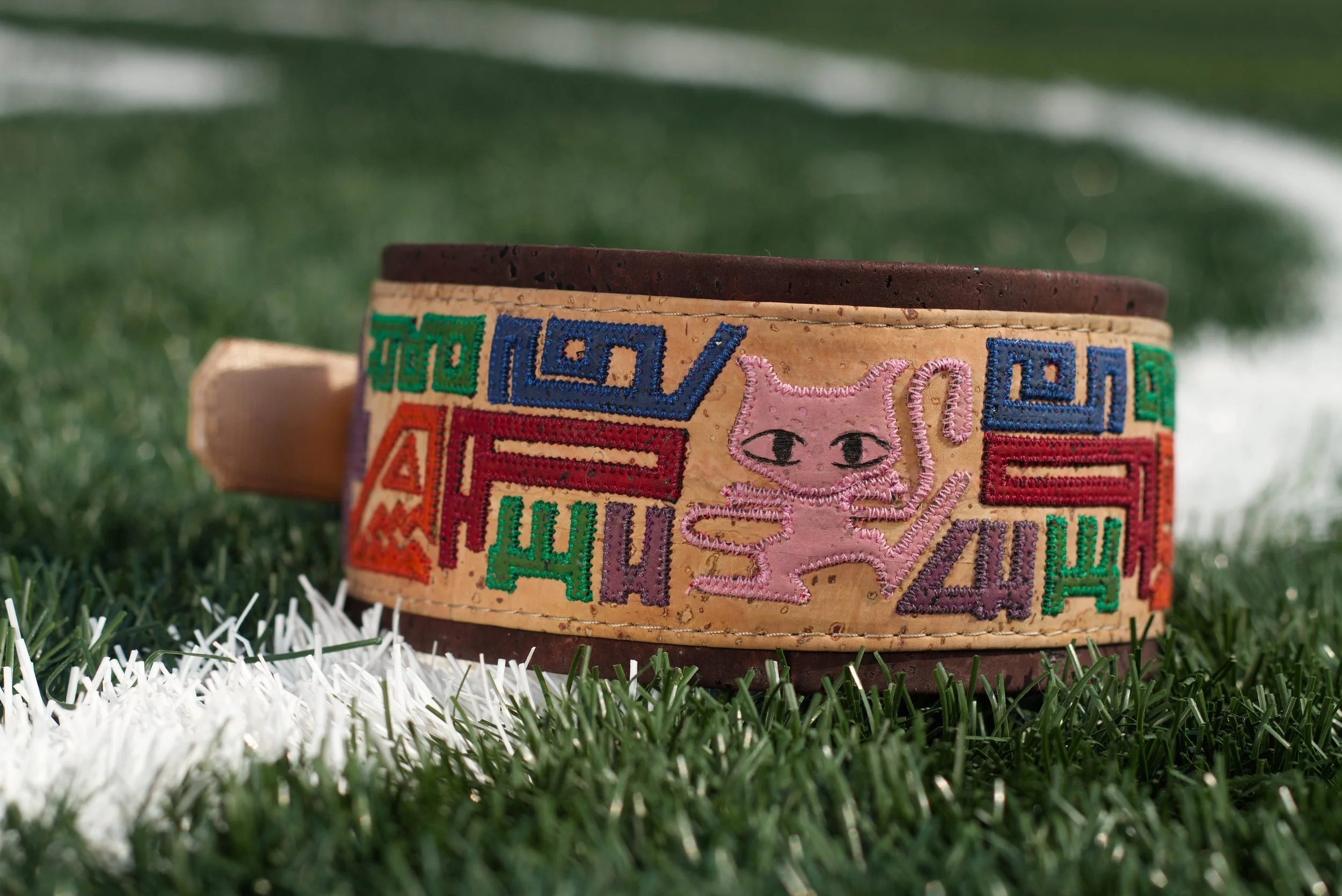Pokemon Mew Hieroglyph Dog Collar 3.jpg