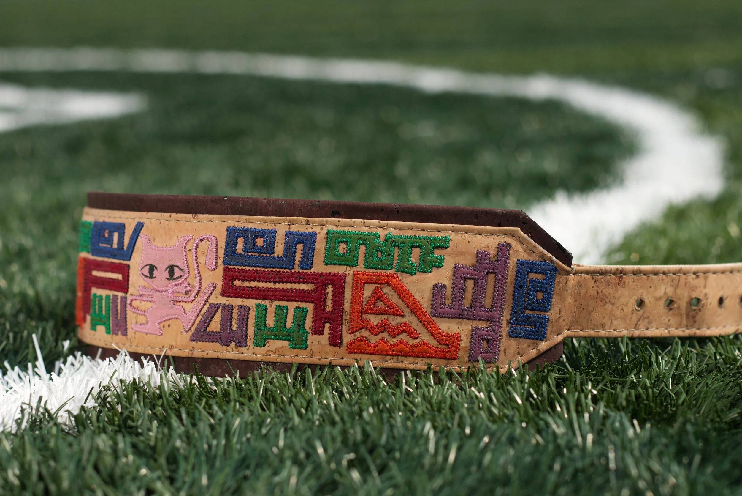 Pokemon Mew Hieroglyph Dog Collar 2.jpg