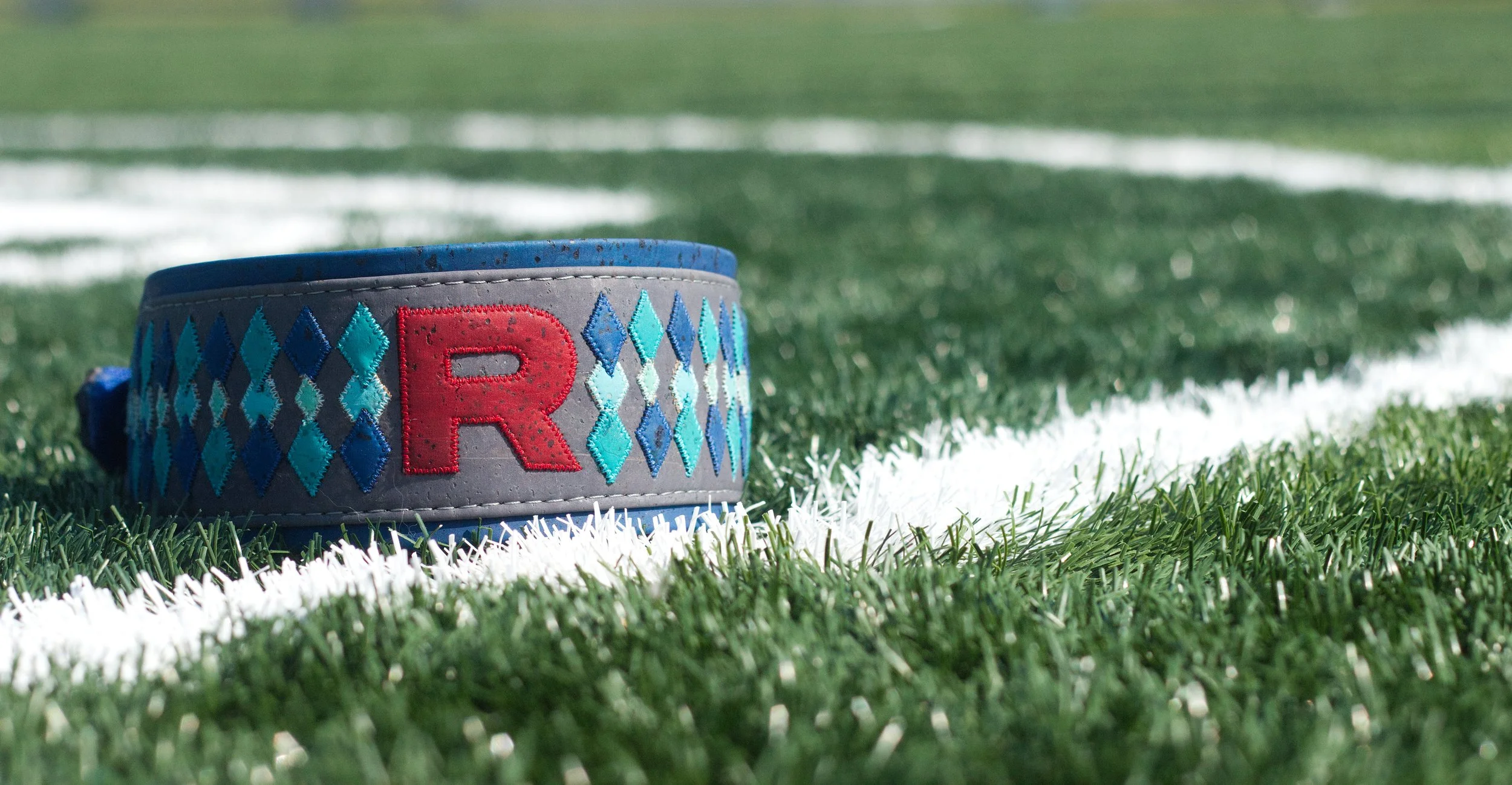 Pokemon Dog Collar Team Rocket Blast Off James 3.jpg