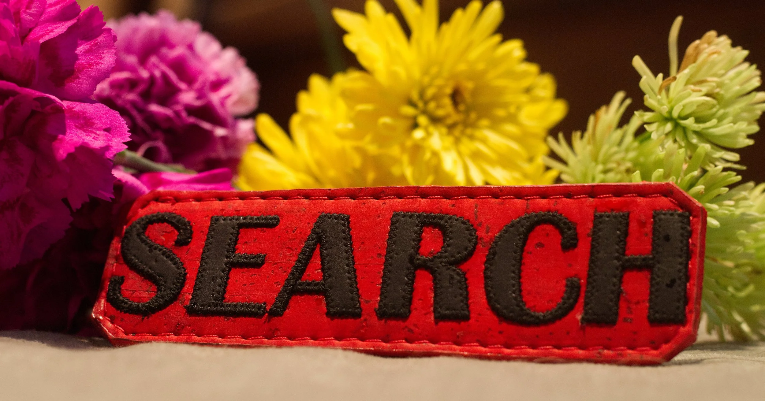 Cork SAR Patch Search Stitched.jpg