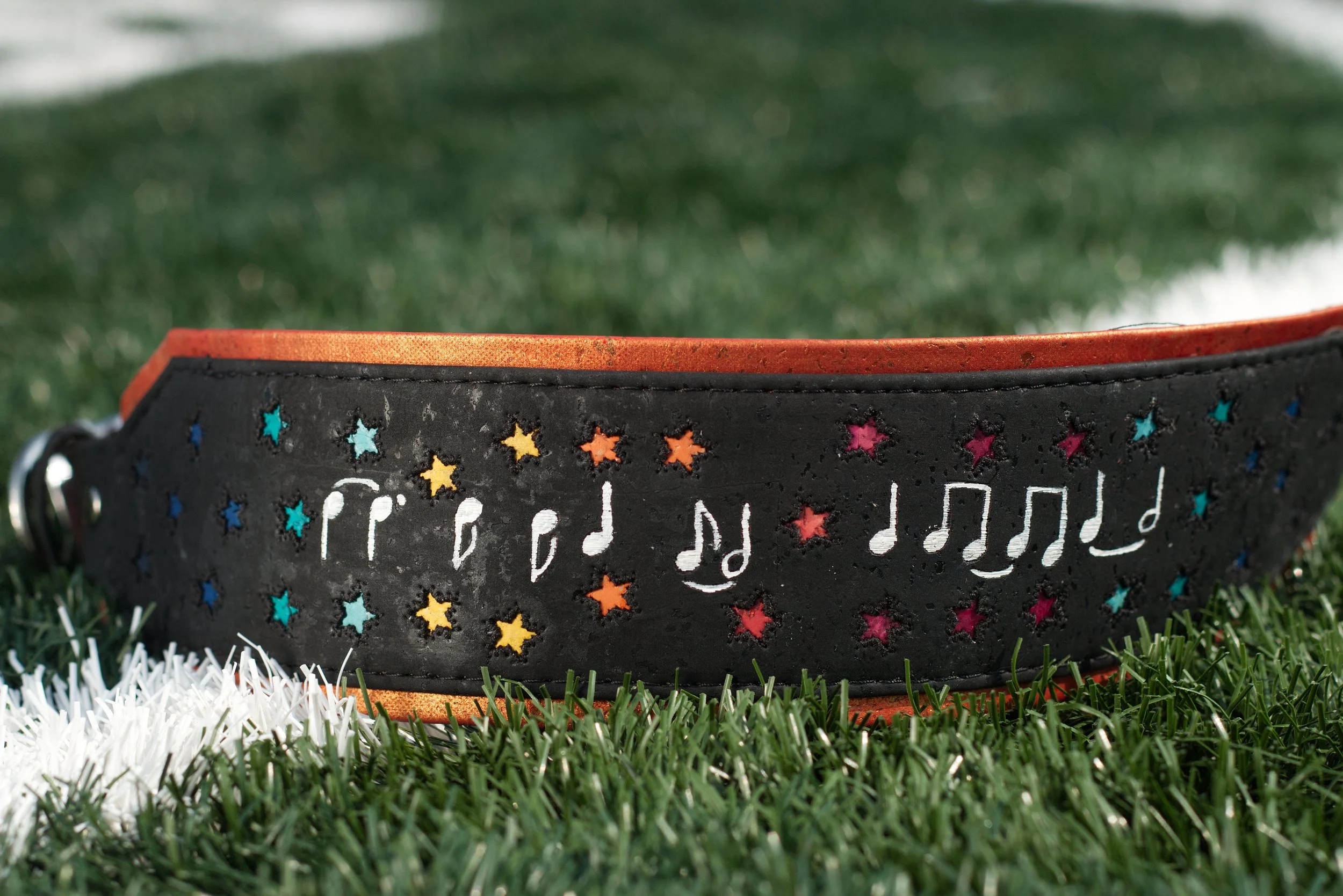 Pokemon Theme Song Lyric Dog Collar.jpg