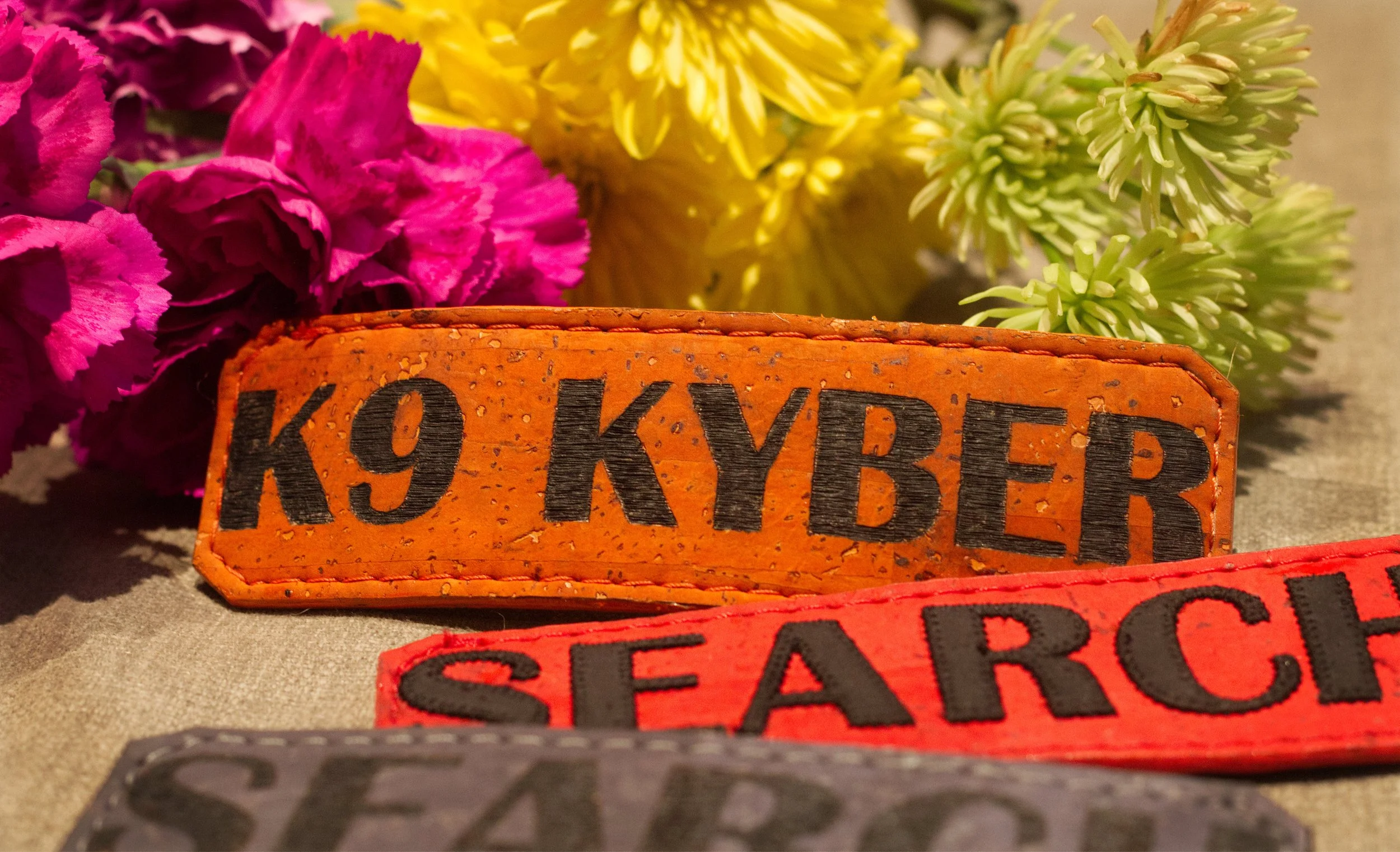 Cork SAR Patch Group.jpg