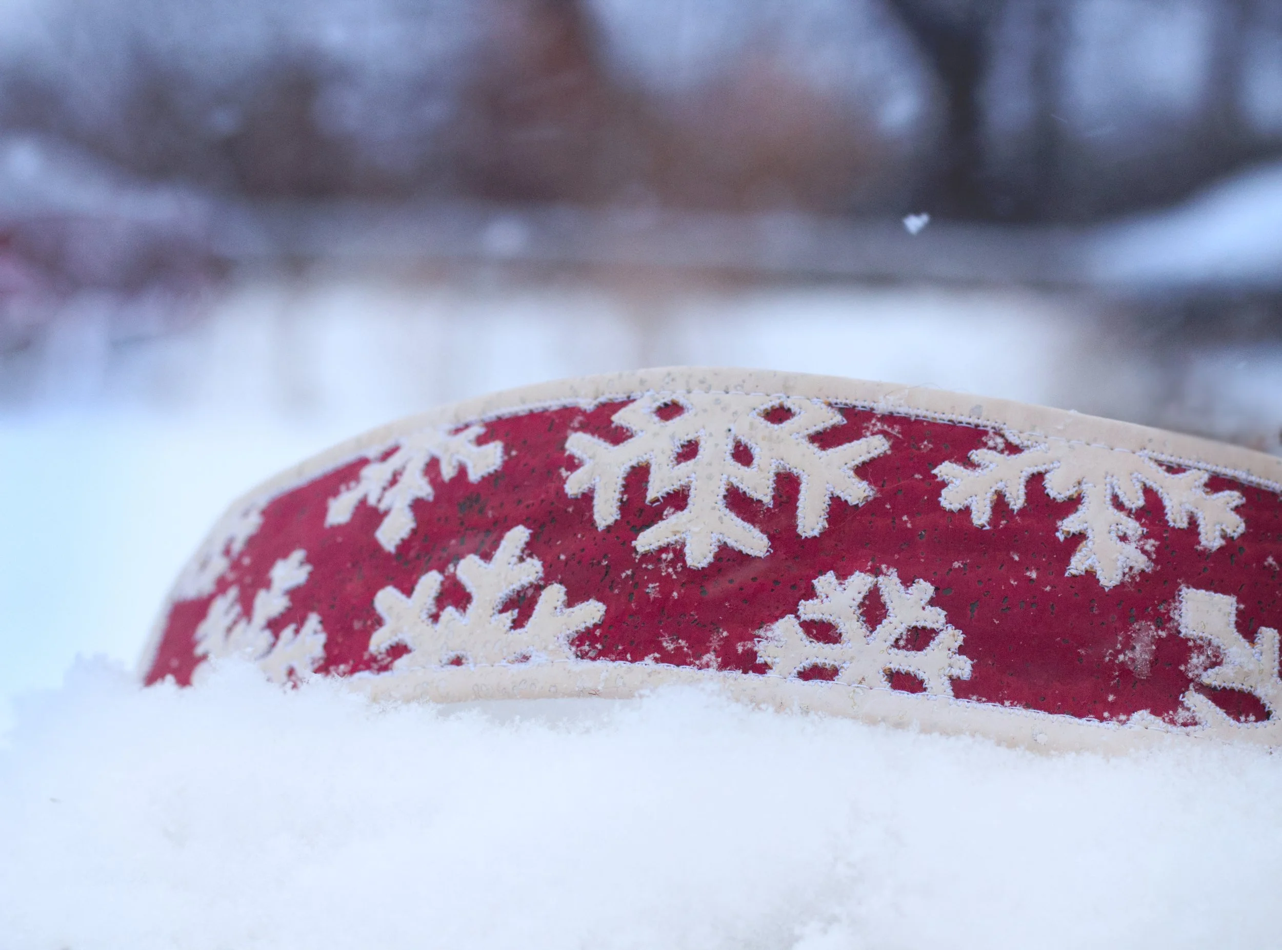 Jack_Frost_Snowflakes_Dog_Collar_Snow_Day4.jpg