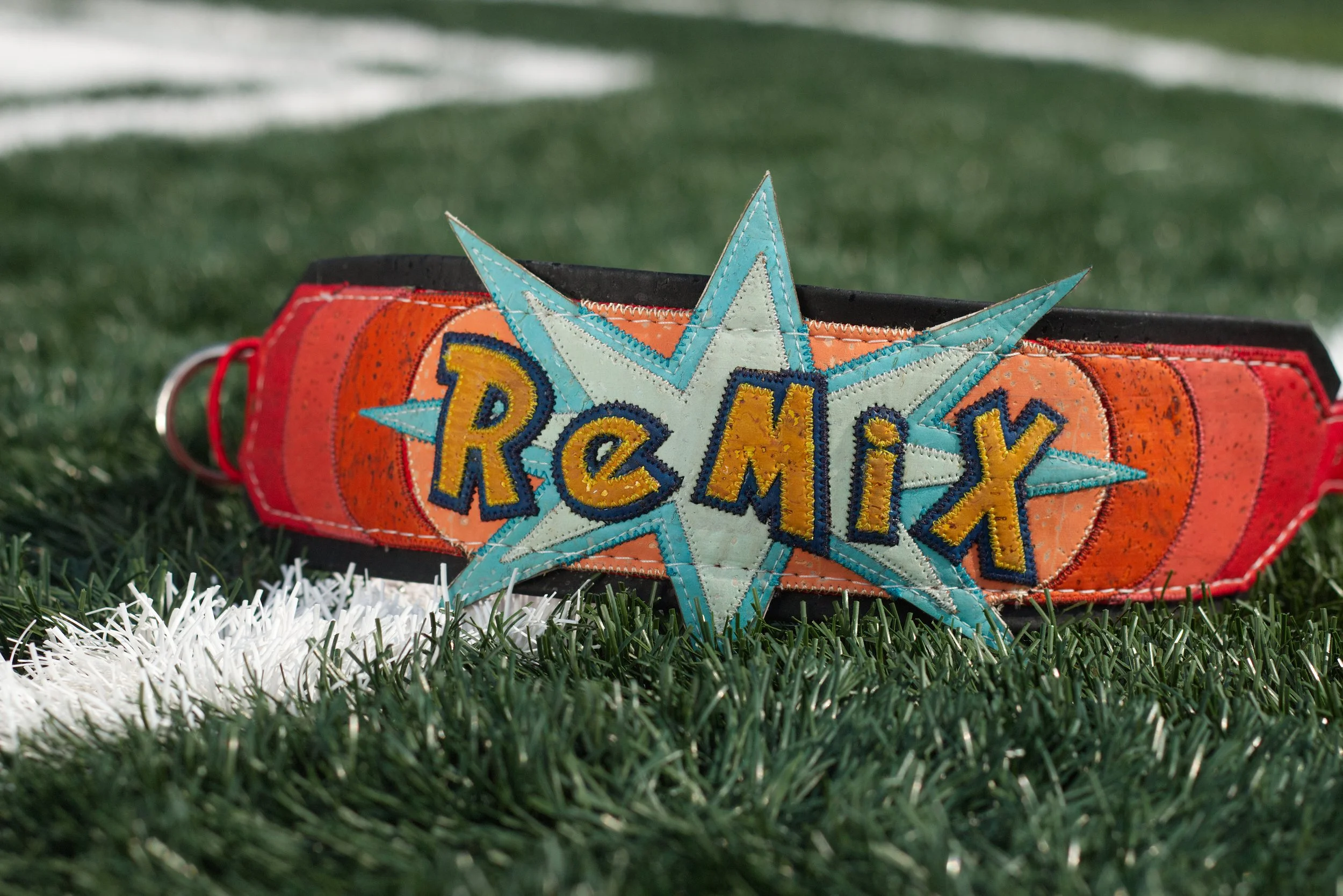 Who's That Pokemon Dog Collar.jpg