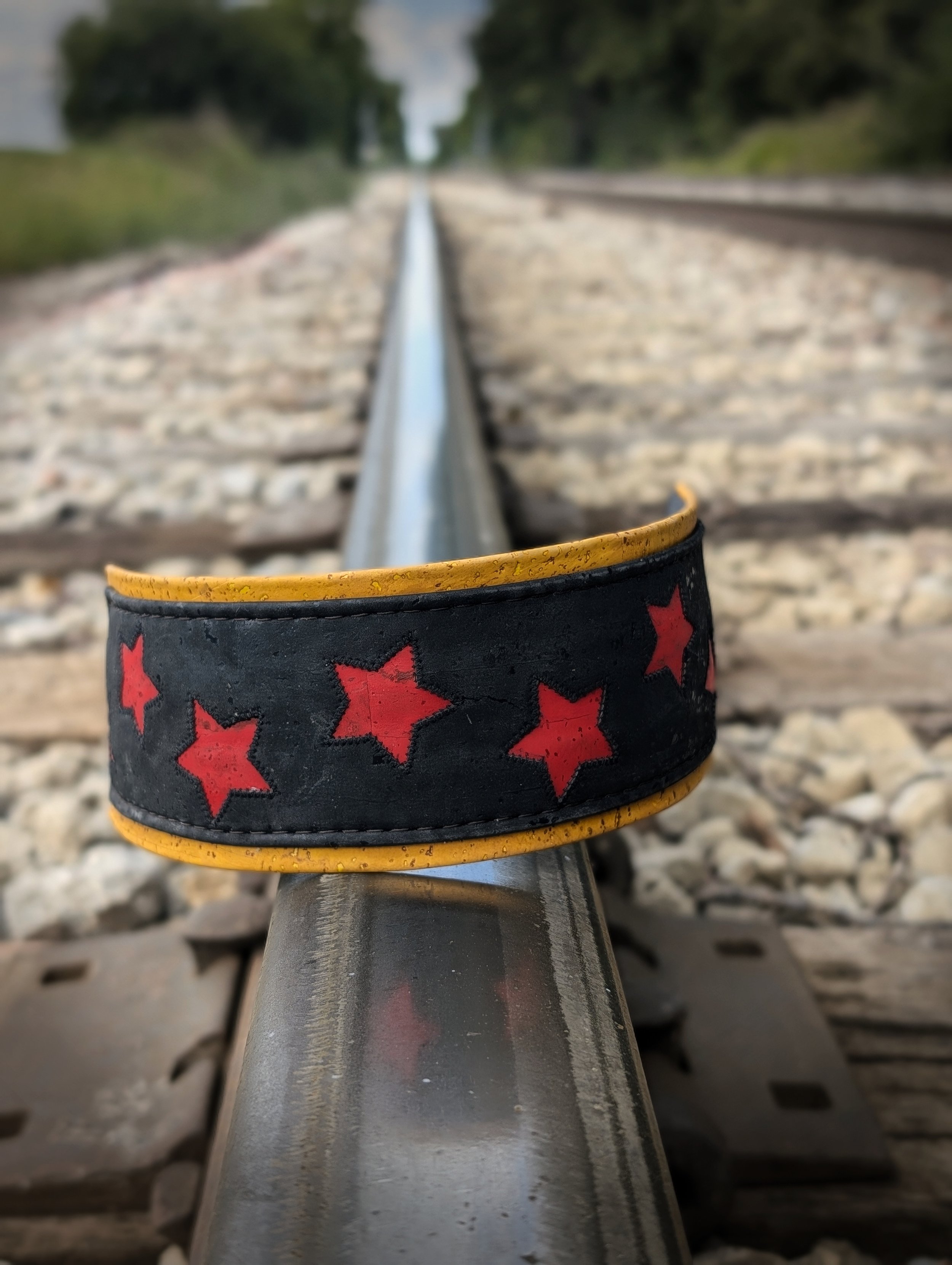 The Redemption Arc 2 - Train Track - EDITED.jpg