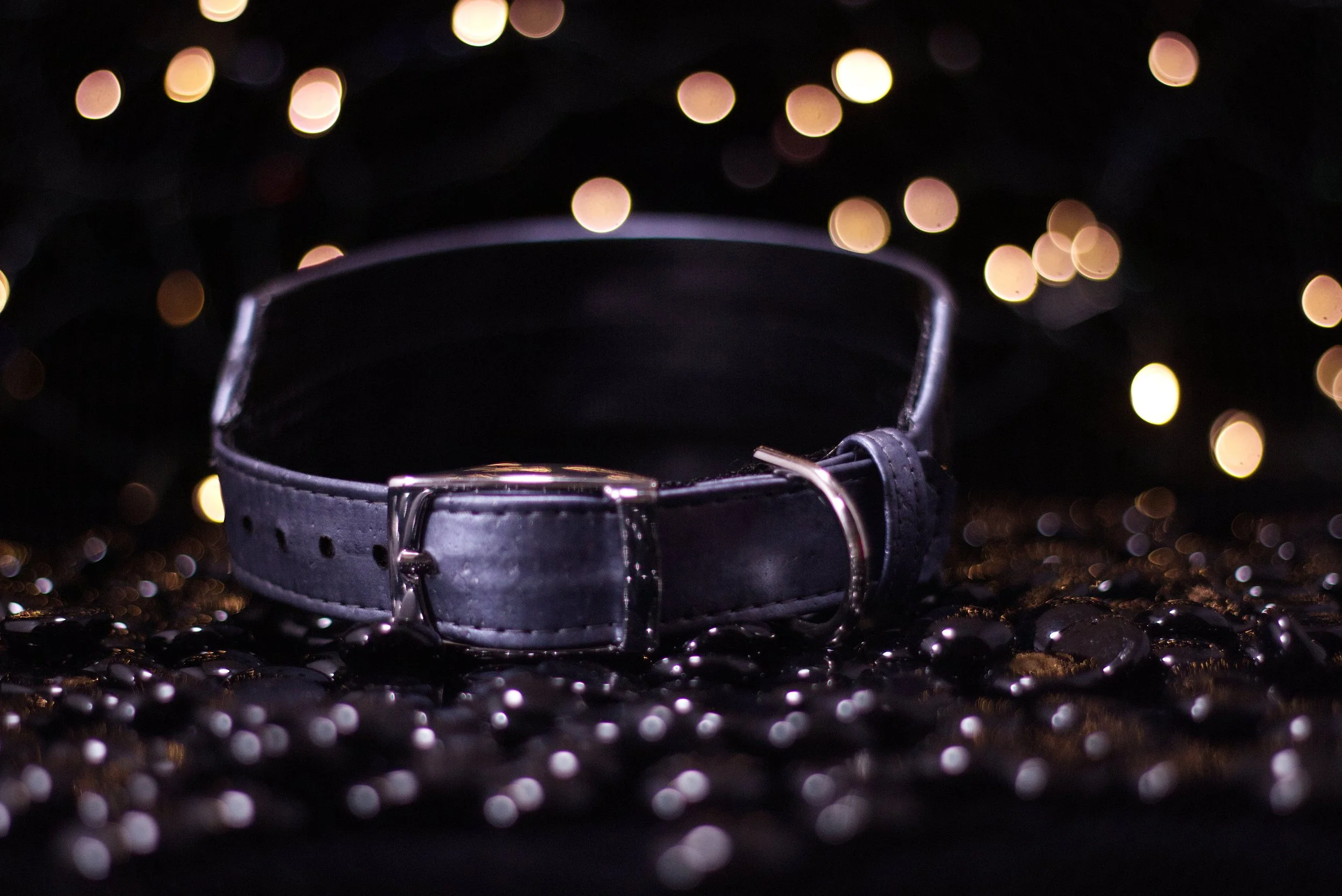 Star Wars Dog Collar Collection - Millennium Falcon 5.jpg (Copy) (Copy) (Copy)