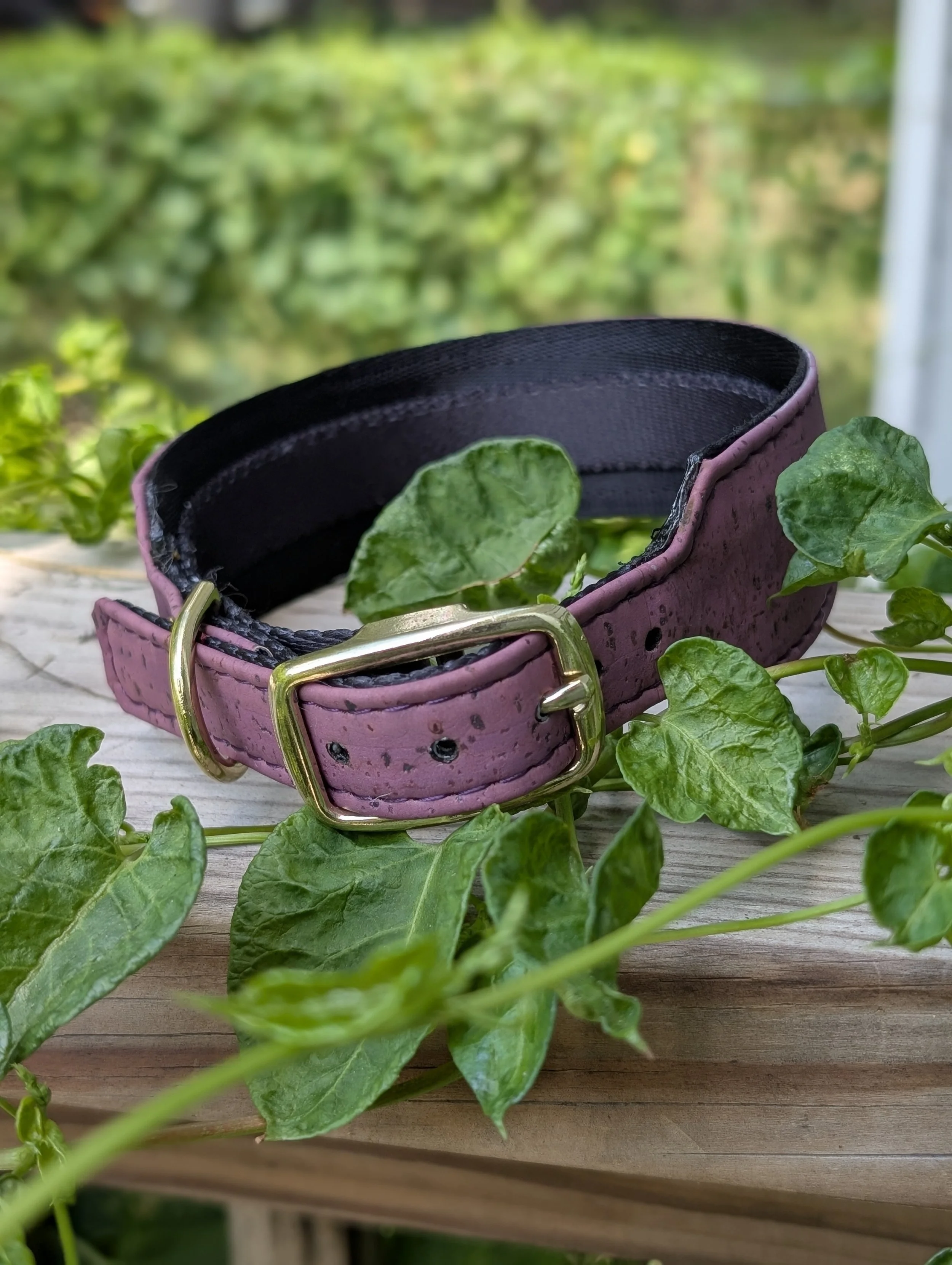 Purple Cork Simple Buckle Dog Collar (Copy)