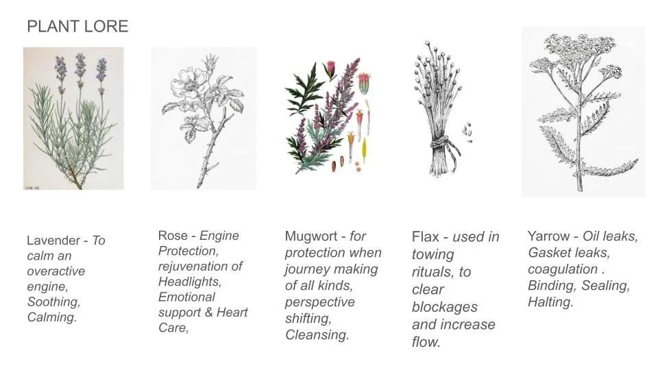 Roadside magic plantlore - to be included in the mixed media disaply of charms, tools and spells