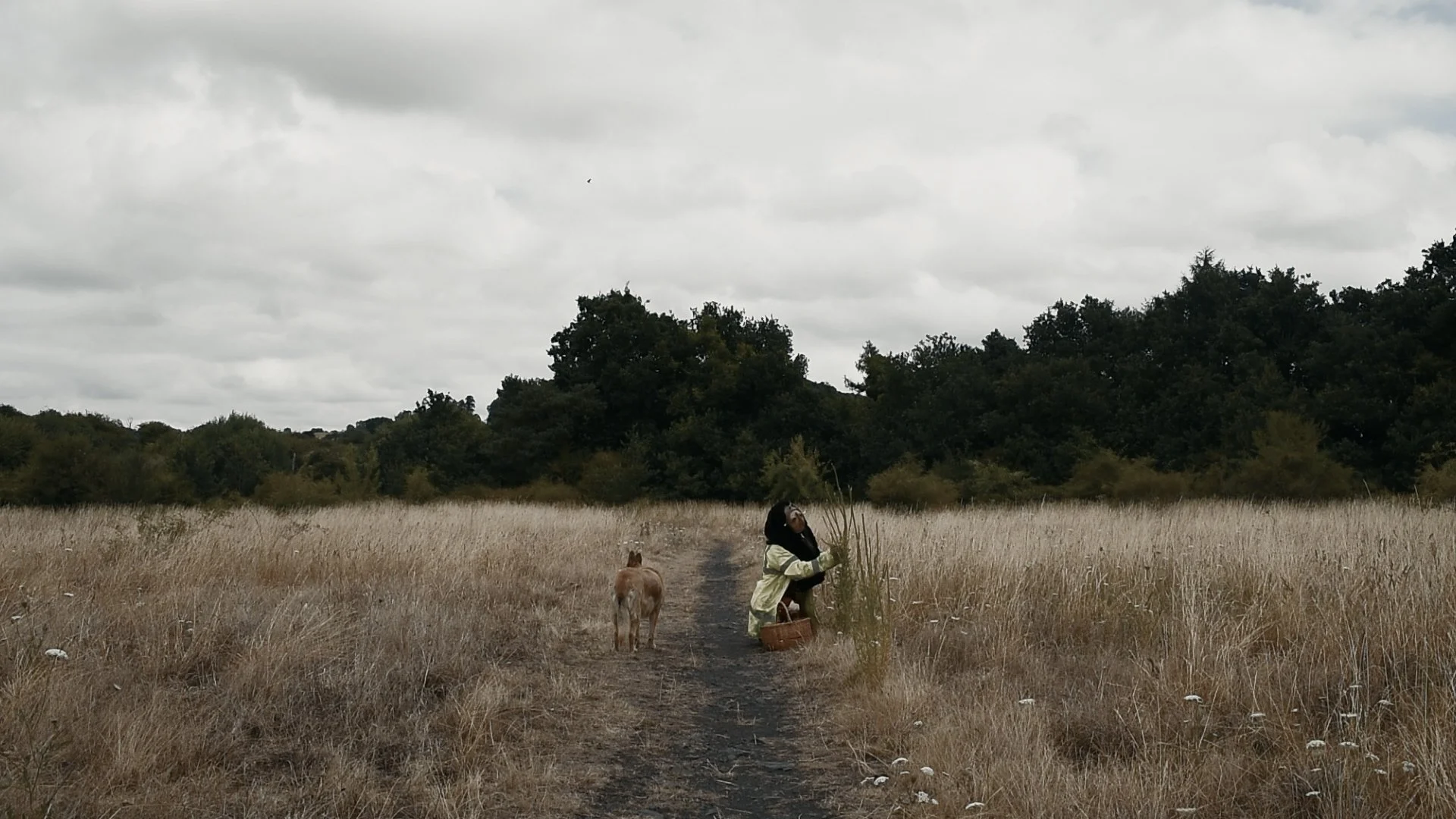 The Way of the Roadwytcch aims to ignite magical thinking into the everyday - as a tool for reconnecting with contemporary landscapes and urban plantlife.

Still from moving image work ROADWYTCH exsisting work to be included in exhibtion .  - picking