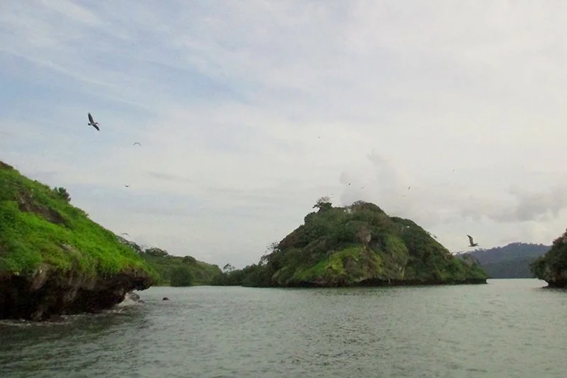 nomadbase island 5.jpeg