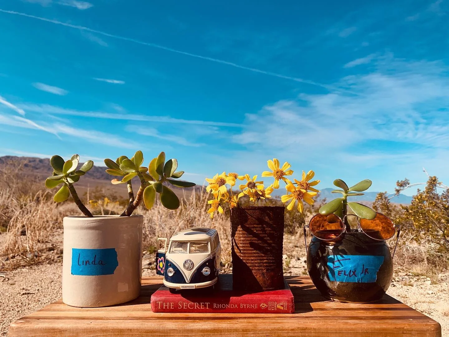 Over the last few weeks I&rsquo;ve been spending a large part of my time in a state of play.

Working on art projects, developing my new consulting business, and of course... dancing in the desert 🌵

A few days ago, Inge and I decided to pack up the