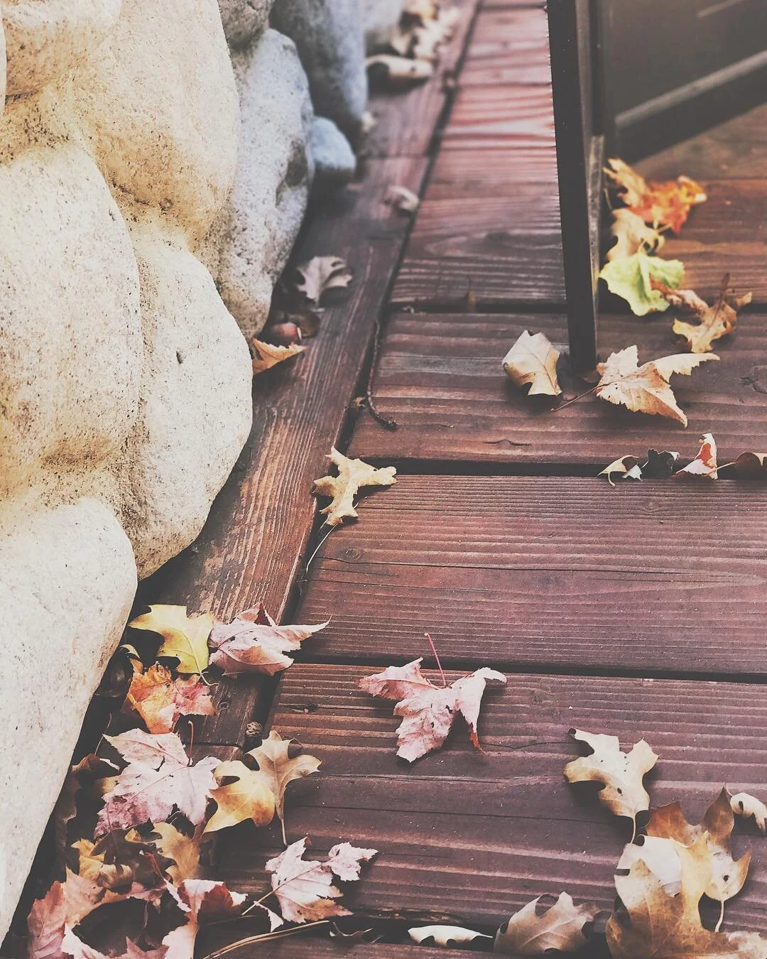 As our gaze met, she told me everything I wanted to know. I stood there watching her eyes as I began to be immersed in all of her emotions all at once. I began to see and feel all of her differences from one fleeting moment to the next&hellip;.
-- Fu