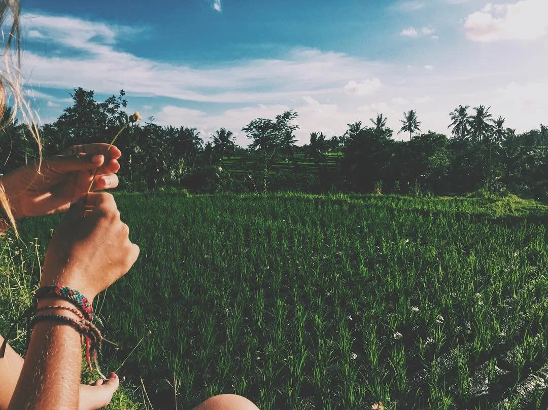 24 hours disconnected from the world. No wifi, no music, no walking in the streets - nothing. Nyepi, a day of silence here on the island of the gods. A time for self reflection, meditation, and quietness. It is the only place in the world where the a