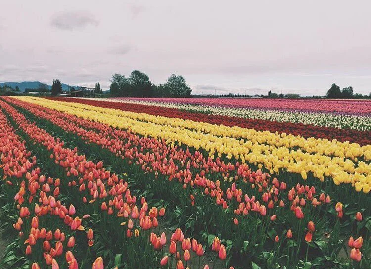 Discover the world from your inbox. Sign up today. Link in bio: thediscoverer.com