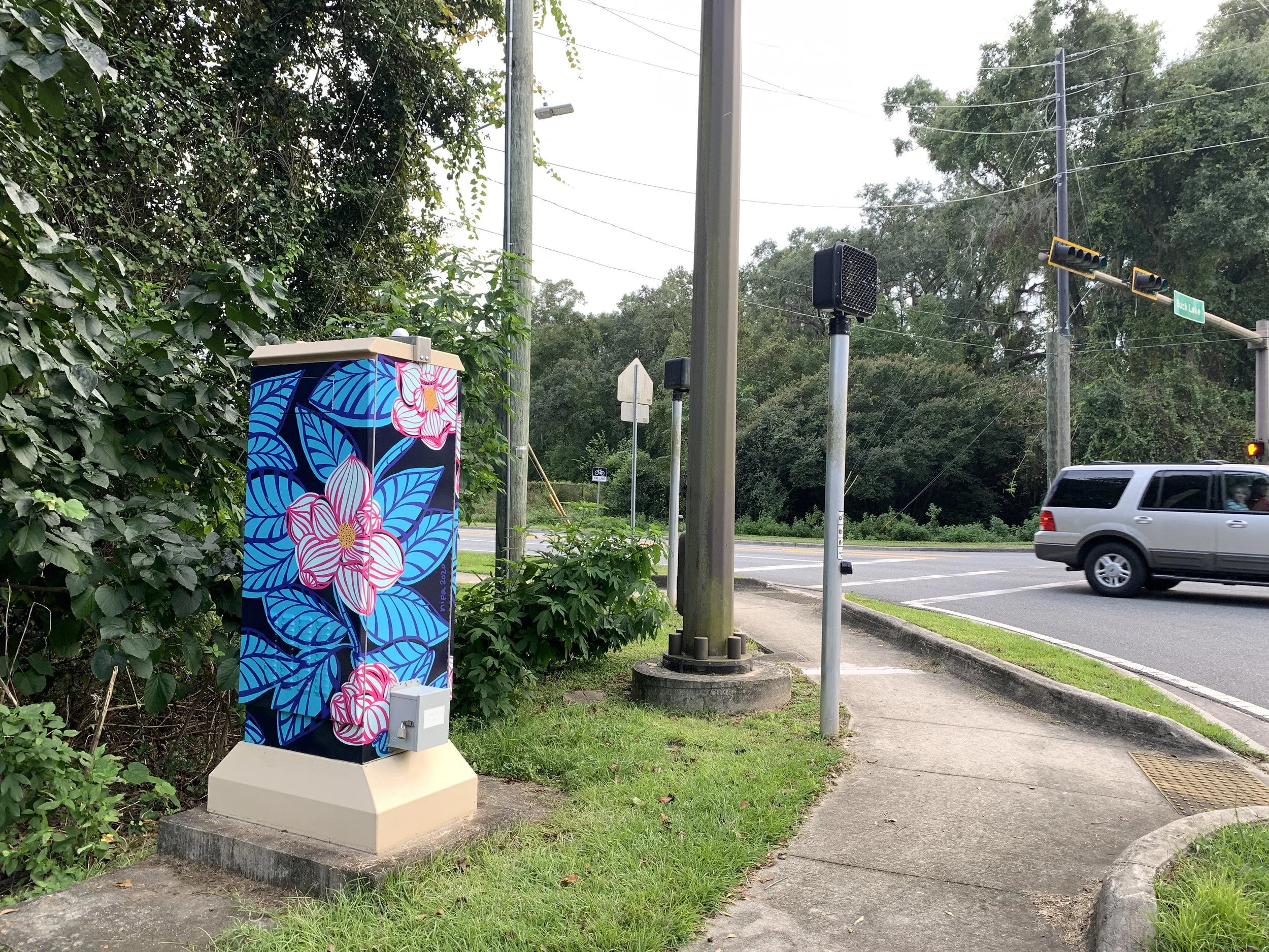 Traffic Box Art - Southern Magnolia - Vinyl