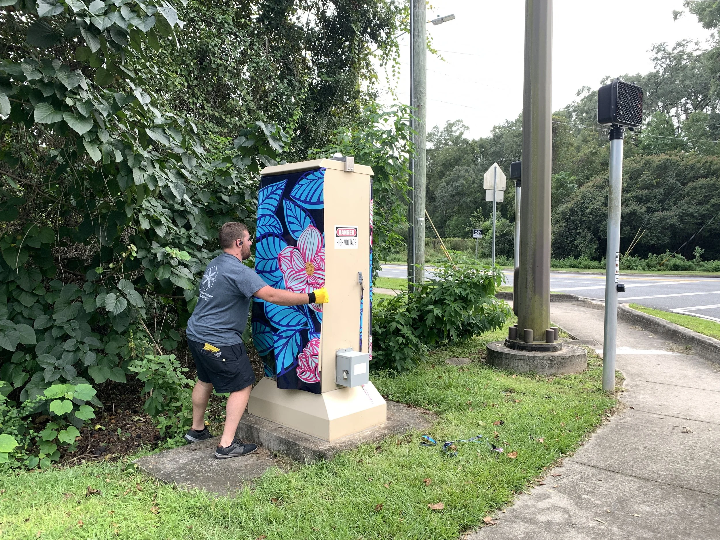 Traffic Box Art - Southern Magnolia - Vinyl