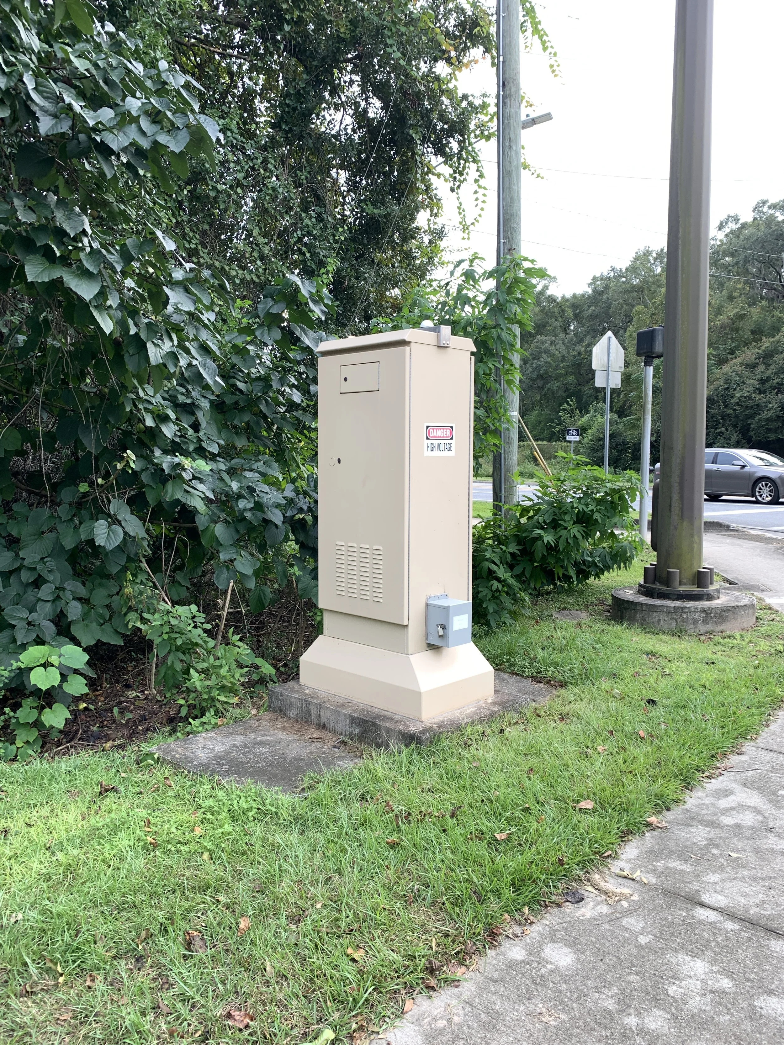 Traffic Box Art - Southern Magnolia - Vinyl