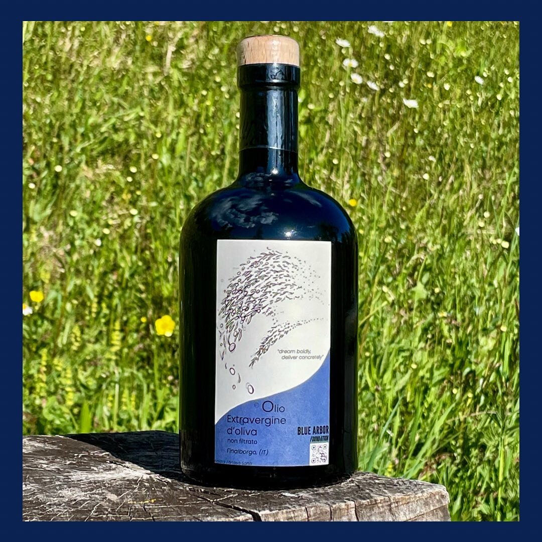Our delicious olive oil from the Arbor Hub Finalborgo is almost out of stock 🫒! Make sure to order your bottle asap 😋
.

&copy;️labels to @fortesasofta 
.
#bluearbor #bluearborfoundation #oliveoil #madeinitaly