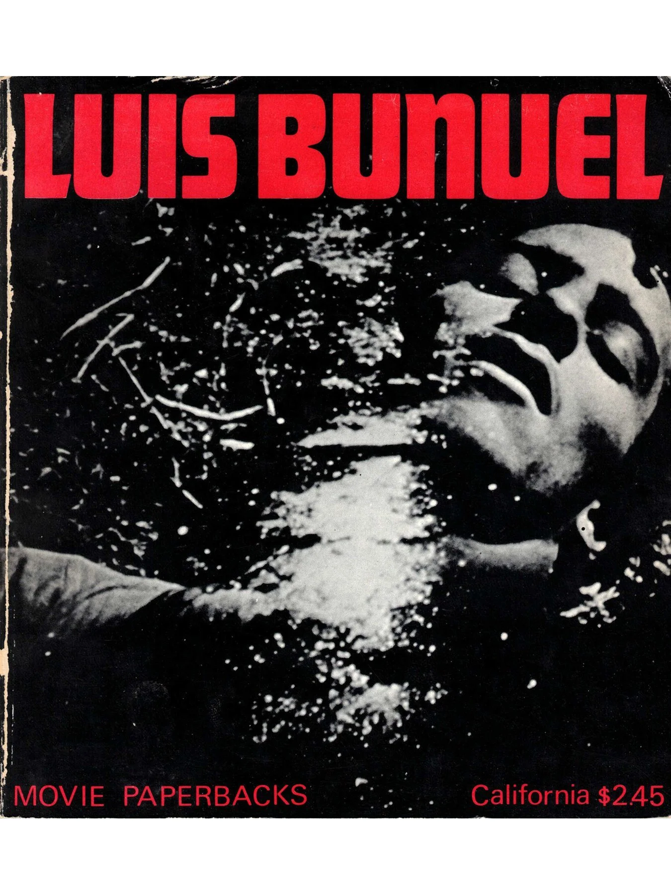 duurgnat+bunuel.jpg