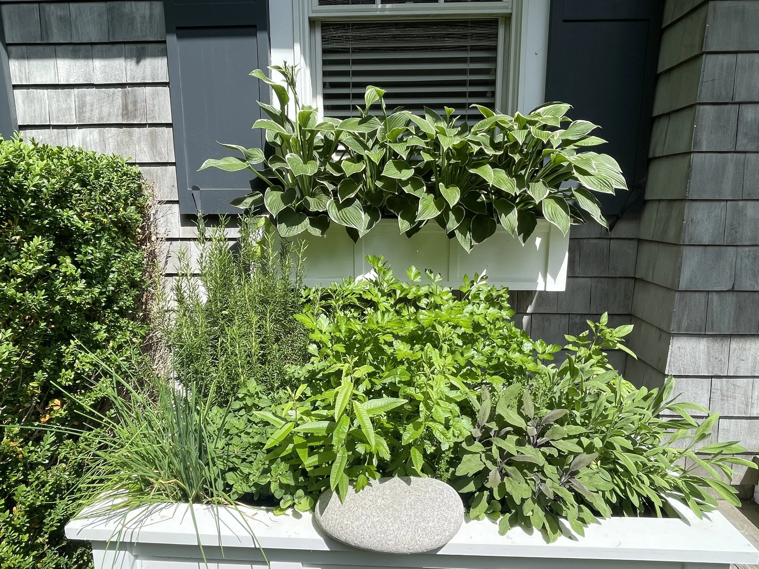 IMG_4702 GT window box.jpg