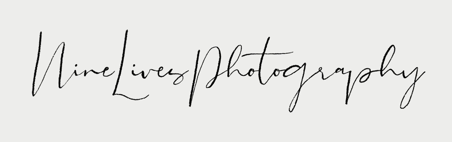 Nine Lives Photography