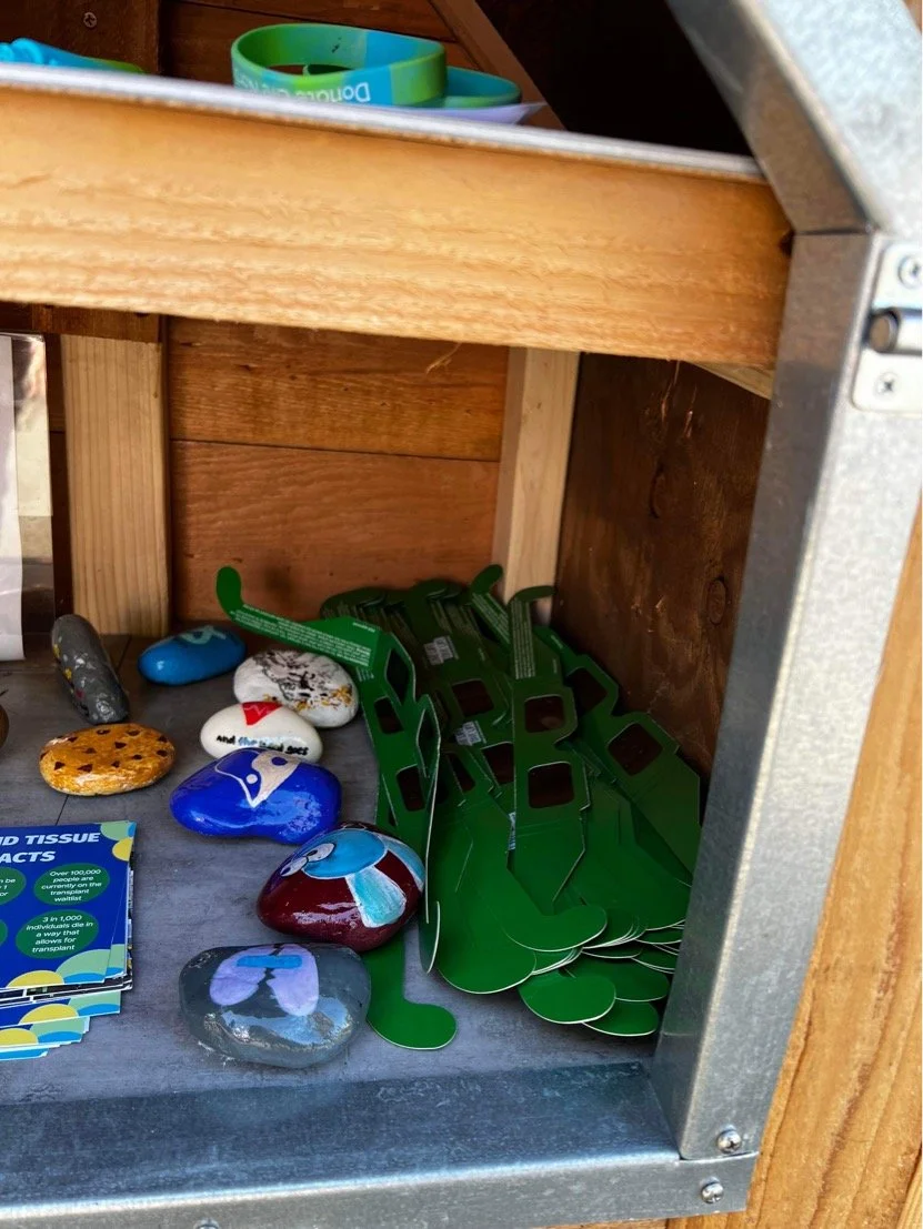 A shelf with painted rocks, green tissue box holders, and promotional brochures inside a wooden and metal structure.