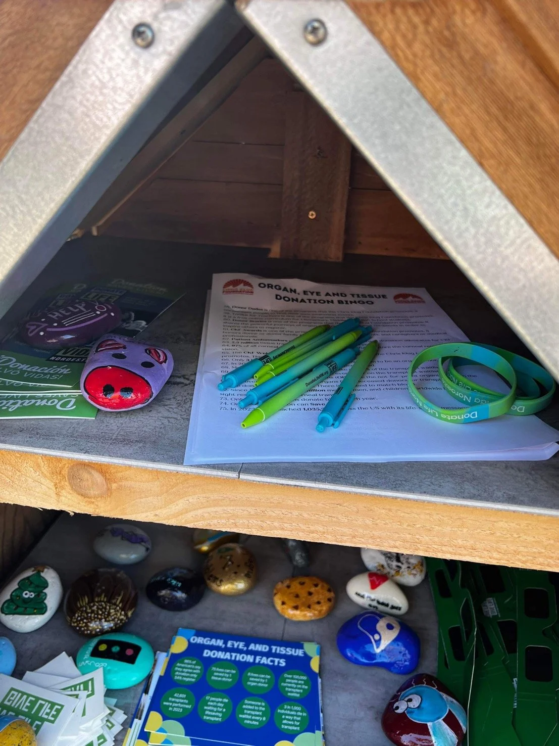 A donation bin for organ, eye, and tissue donation. Inside, there are colorful pens, wristbands, a painted pig face mask, and informational pamphlets on organ donation. The bin has a lower section with painted rocks and a blue card with donation fact