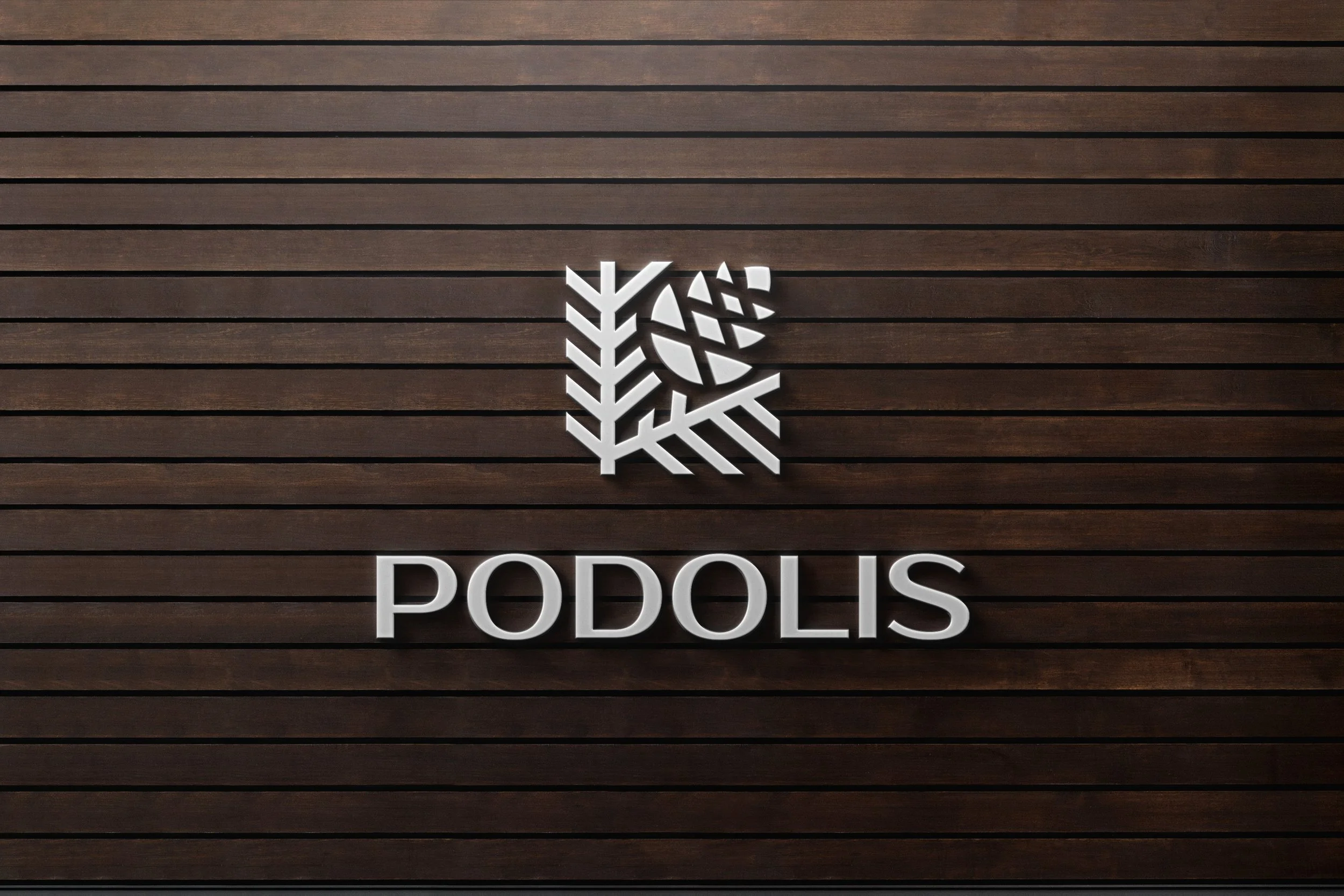 logo_mockup.jpg