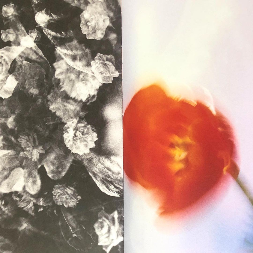 вставлене-зображення 4.png