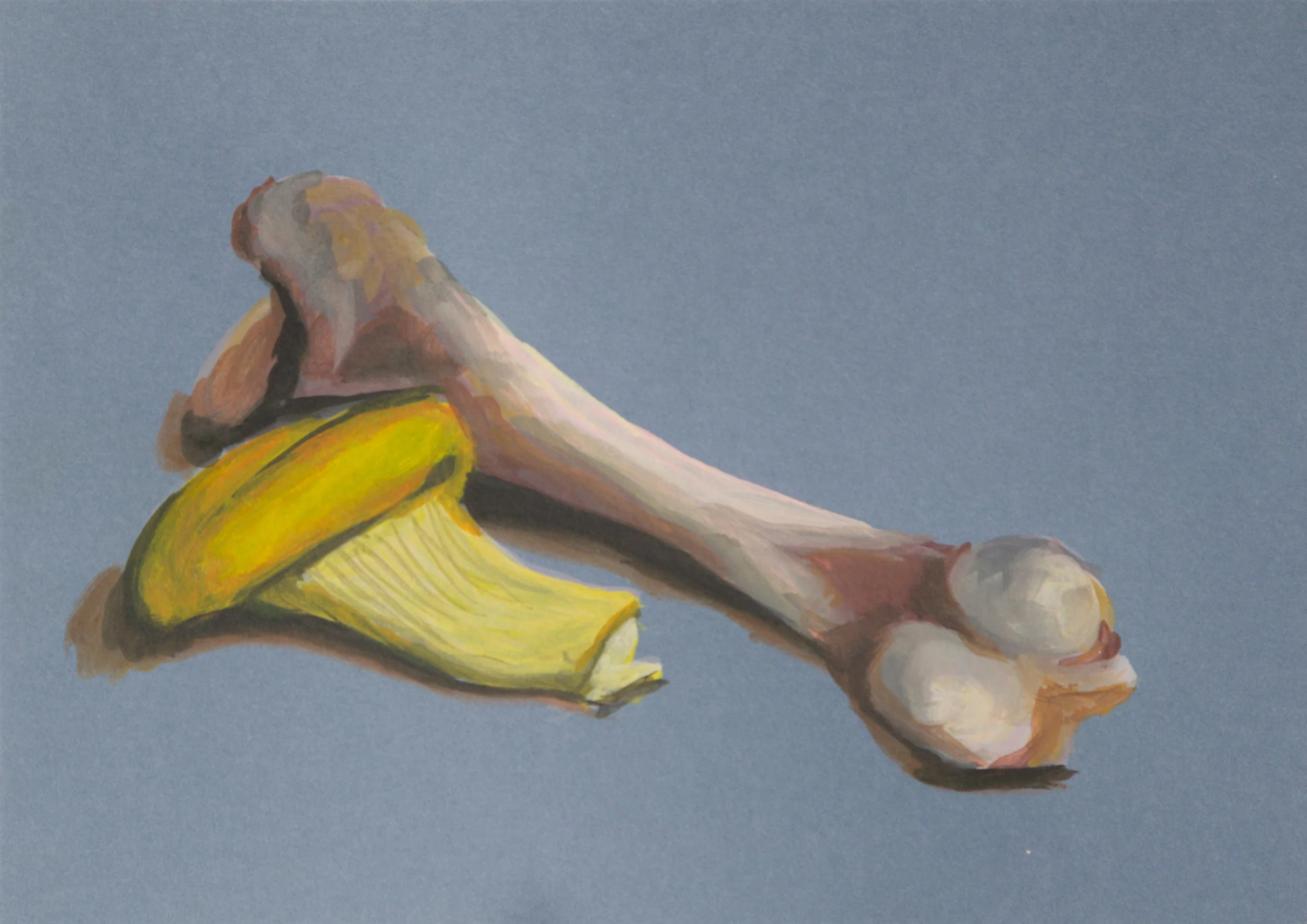 A pork bone and a chanterelle.