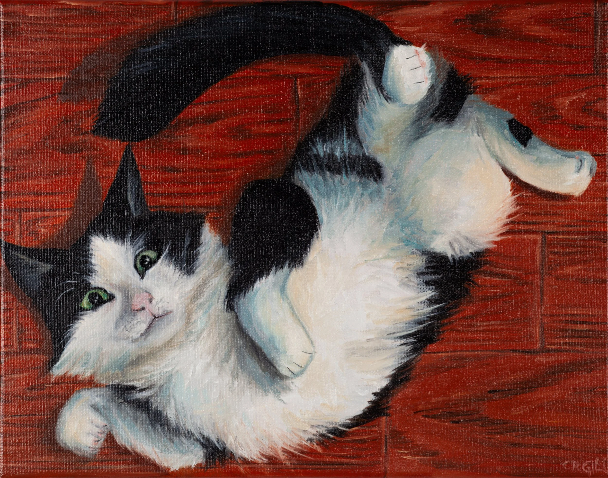 A fluffy black and white cat wiggles on its back on the floor exposing its stomach at your peril.
