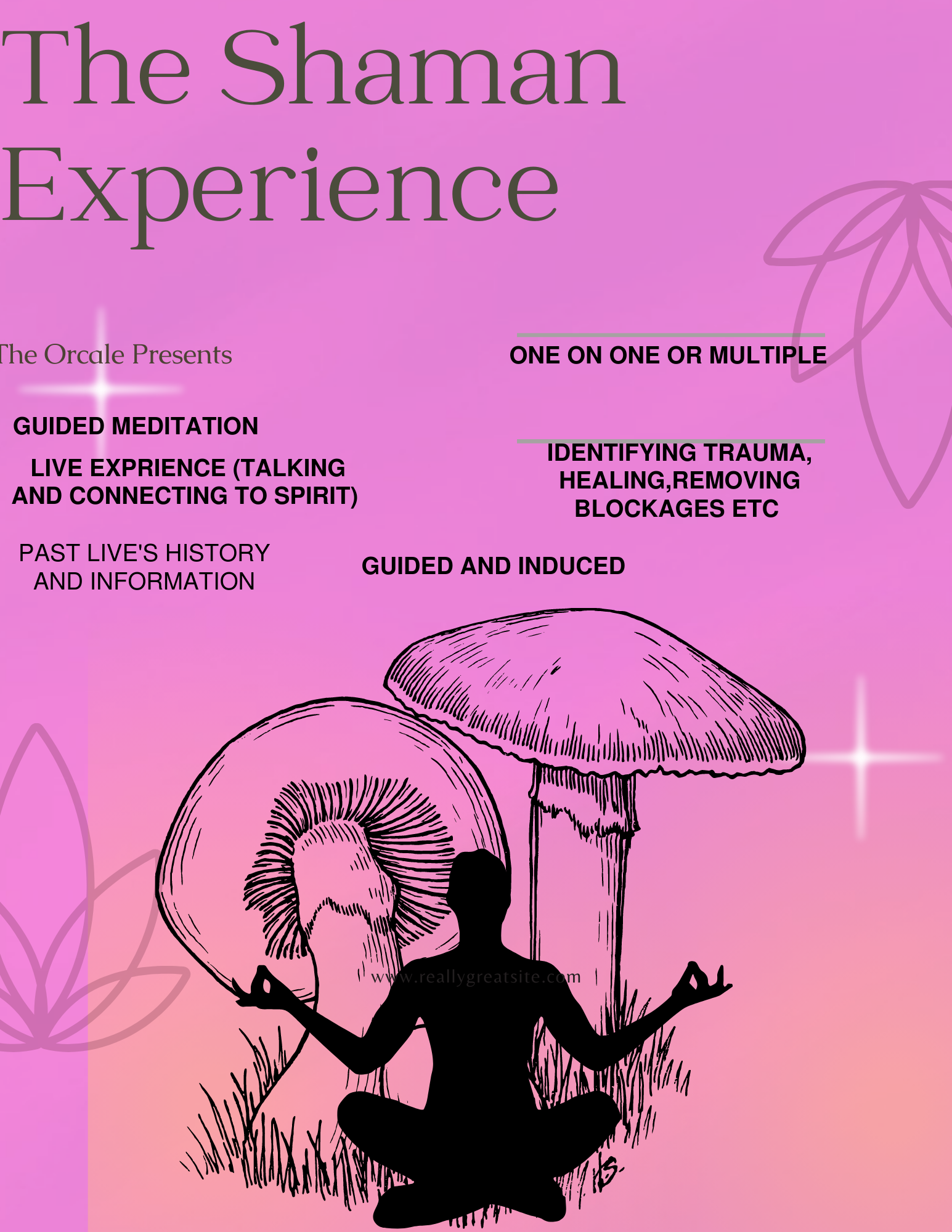 The shaman experience