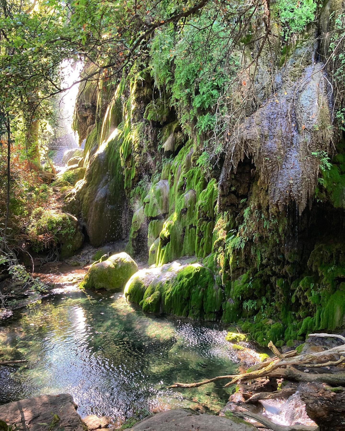 New post on being present in the every day up on the journal. (Link in bio)

✨

#bepresent #magiceverydamnday #delight #newblogpost #naturelovers #joyseeker #creative #dothething #chopwoodcarrywater #getoutside #naturephotography #adventureawaits 
📸