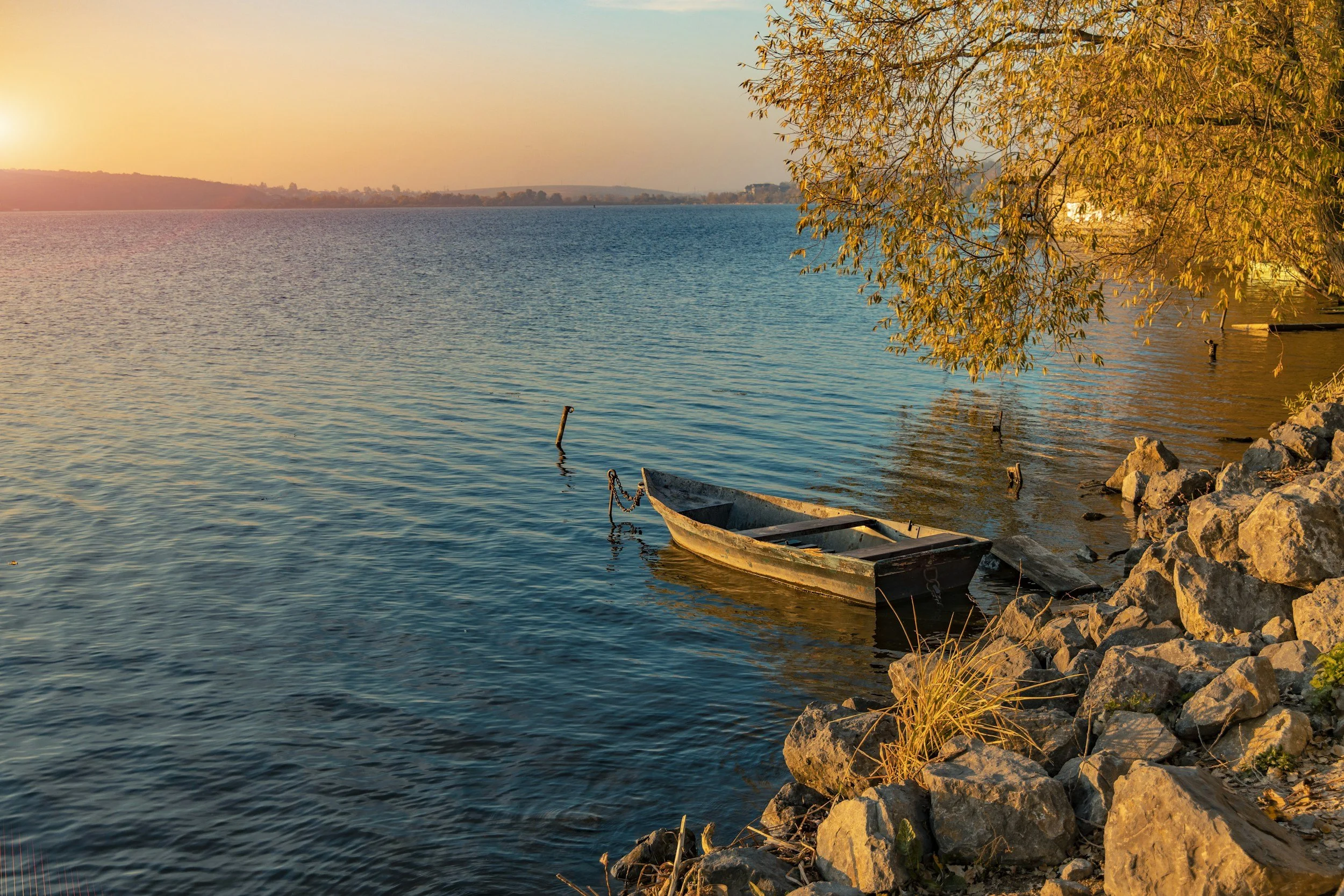 Leisurely evening on a lake, golden sunset illuminates a boat moored near rocks and a tree