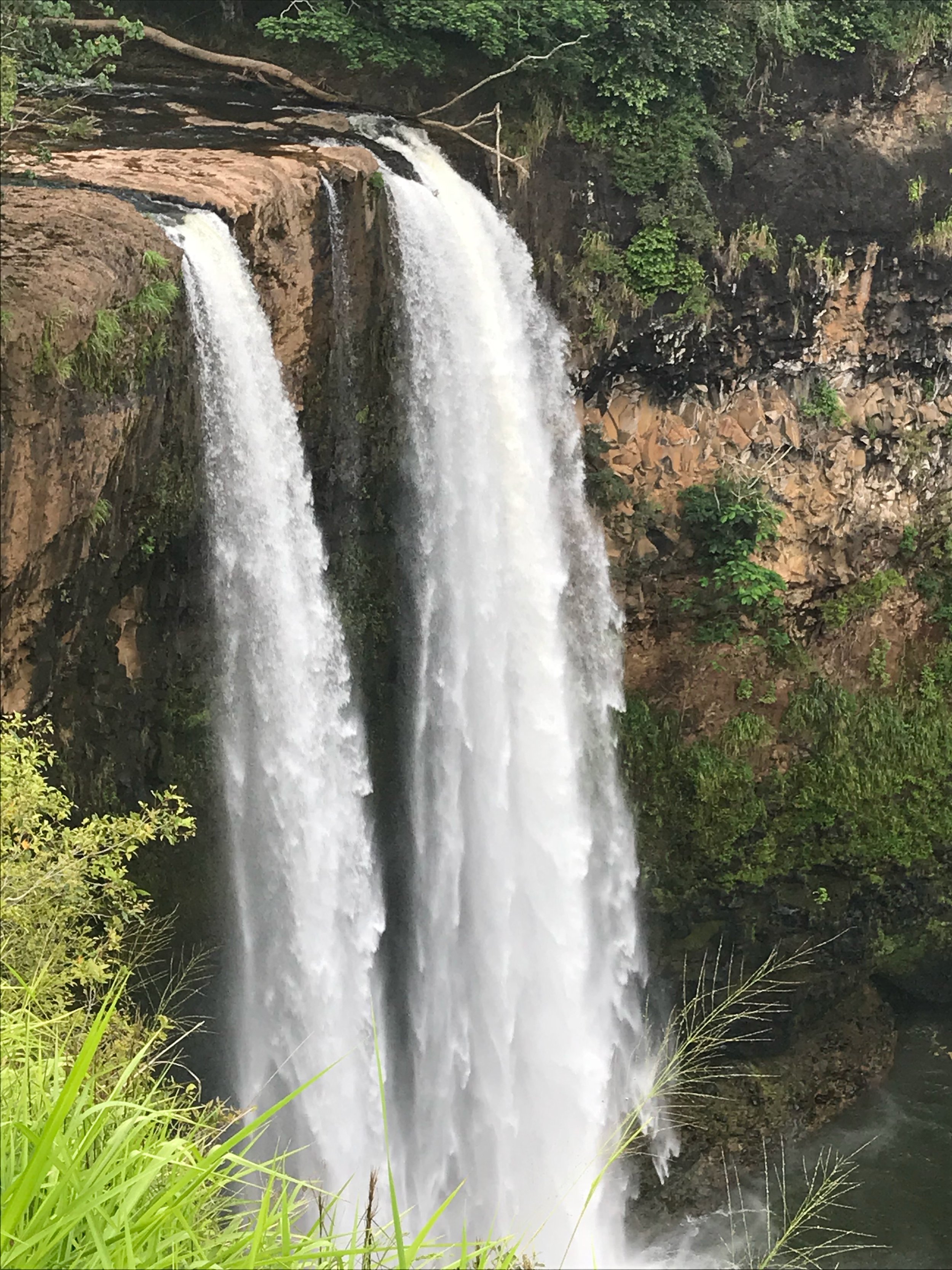 Water To Thrive