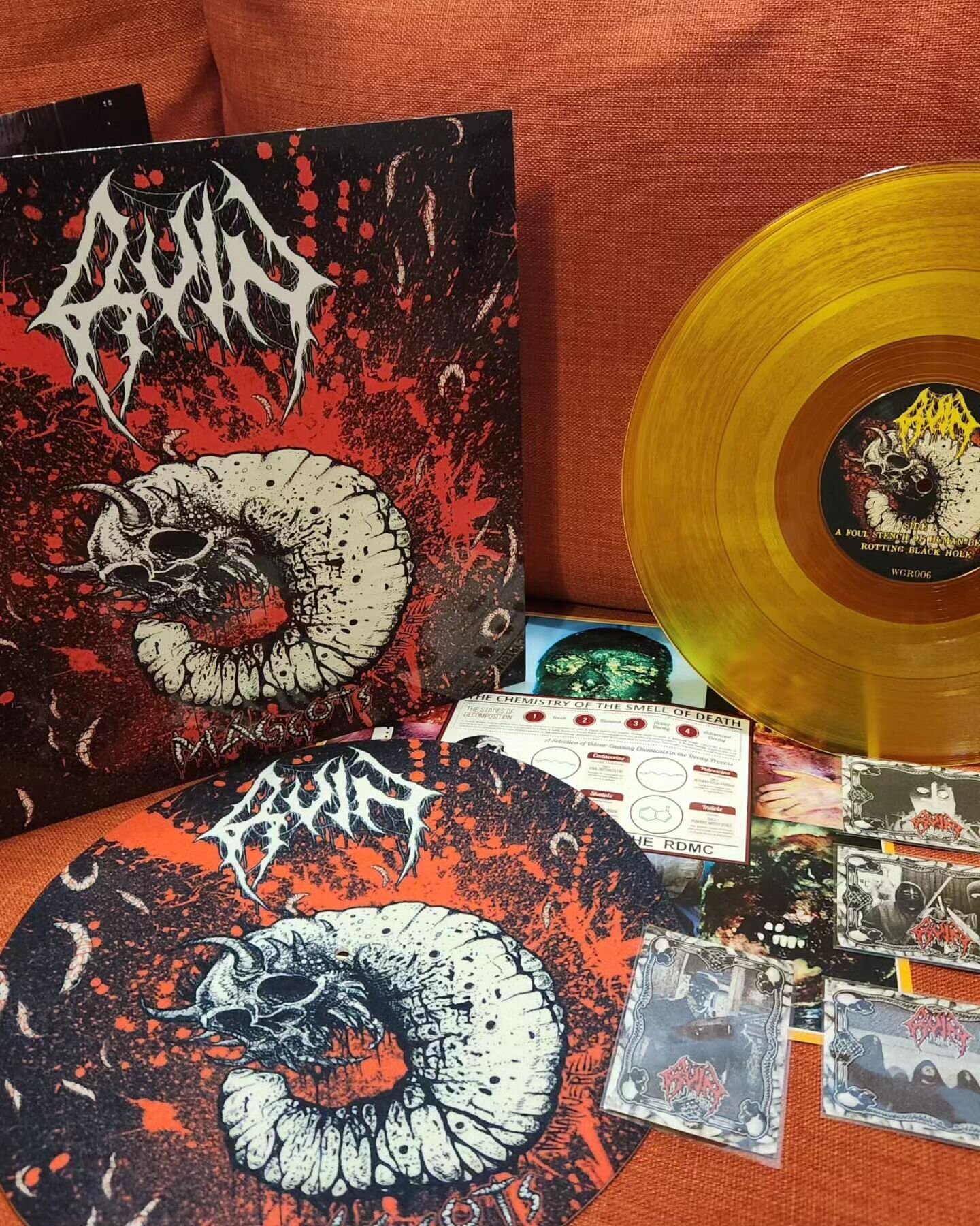 AVAILABLE NOW AT WISEGRINDSRECORDS.COM

- RUIN - Maggots Special Edition 180g 12&quot;MLP
(Package contains gatefold jacket, insert/poster, 180g colored vinyl, premium quality turntable slipmat, and 4 piece RDMC trading card set)

- SHITBRAINS / YxAx