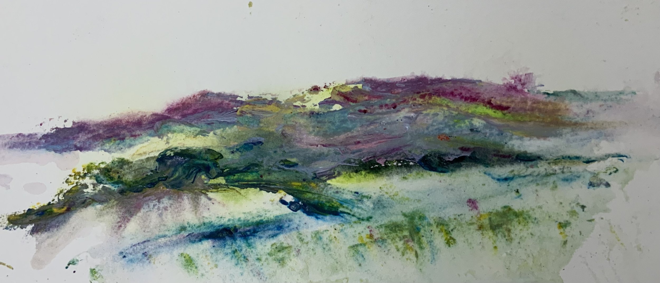 The Moors
Heathers, gorse and rocky outcrops.
11 x 27cms Mixed Media on paper £60