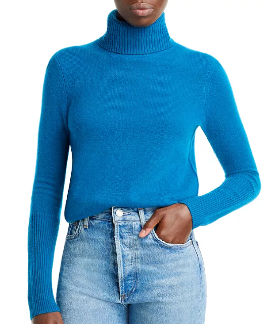 aqua turtleneck.PNG