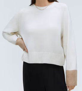 everlane recashmer boxy crew.PNG