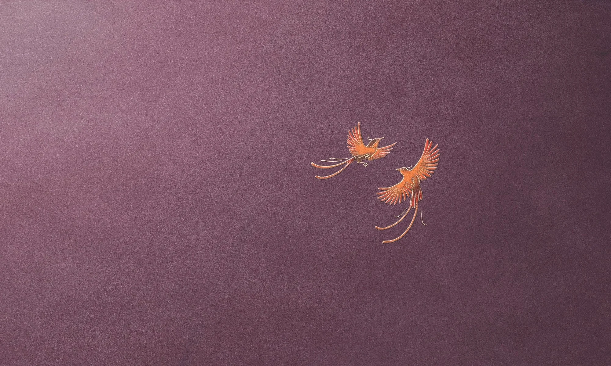 2. ikaati_birds.jpg