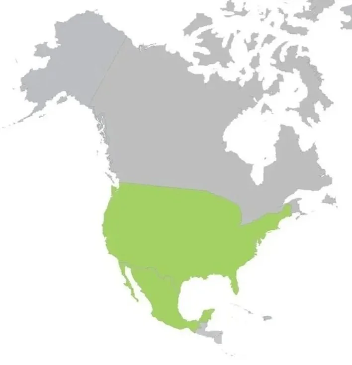 NORTH AMERICA WINN MAP GRAYSCALE UPDATED ALL COUNTRIES 5-5-2024.jpg