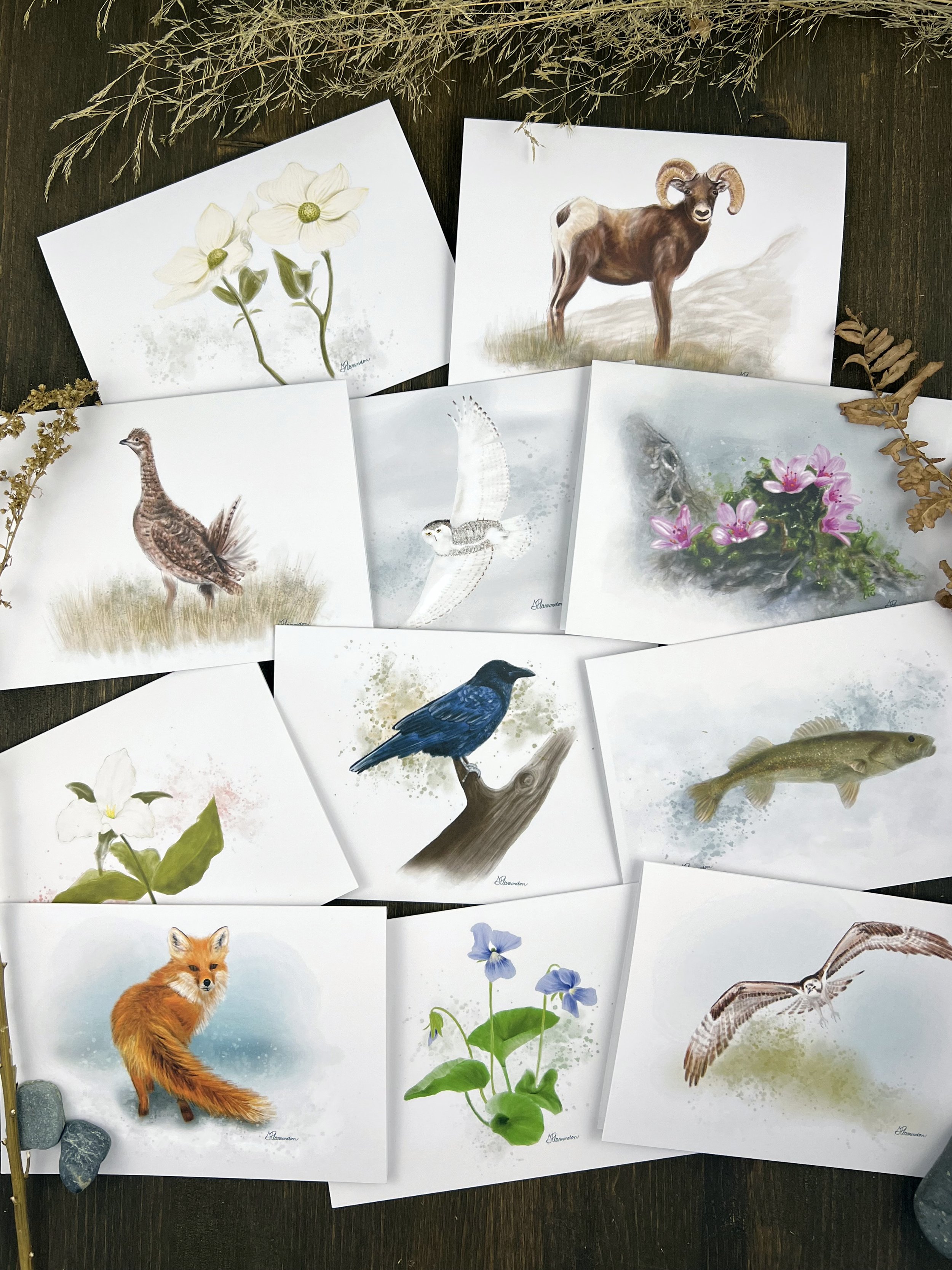 Cards Variety c.jpg