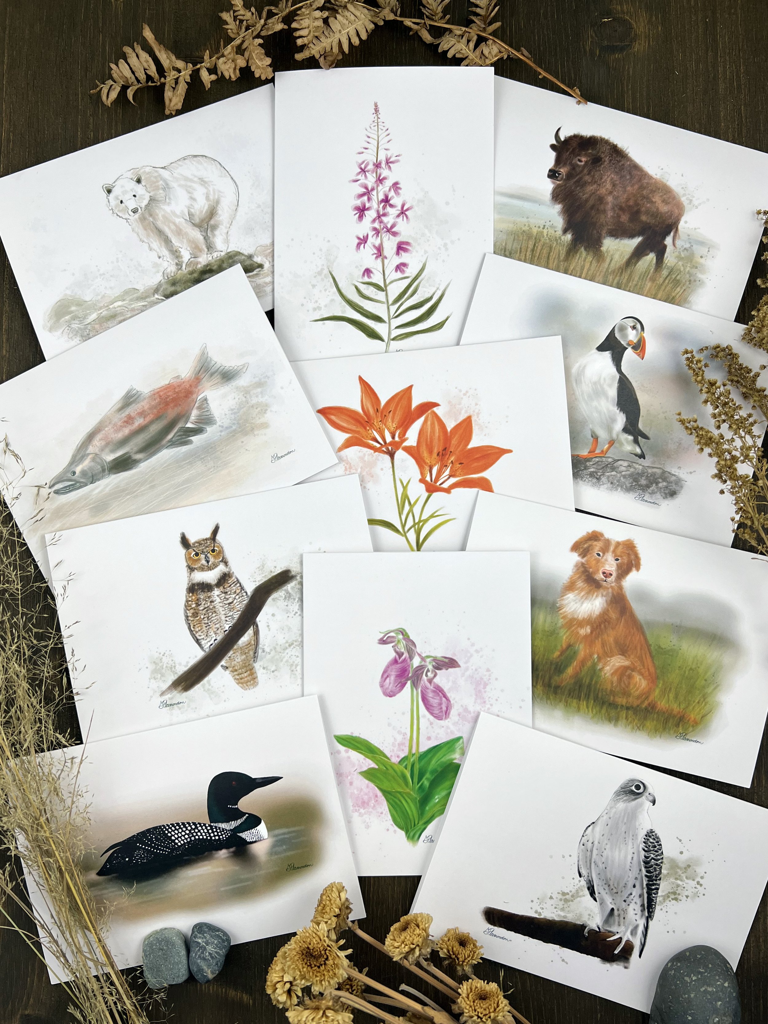 Cards Variety a.jpg