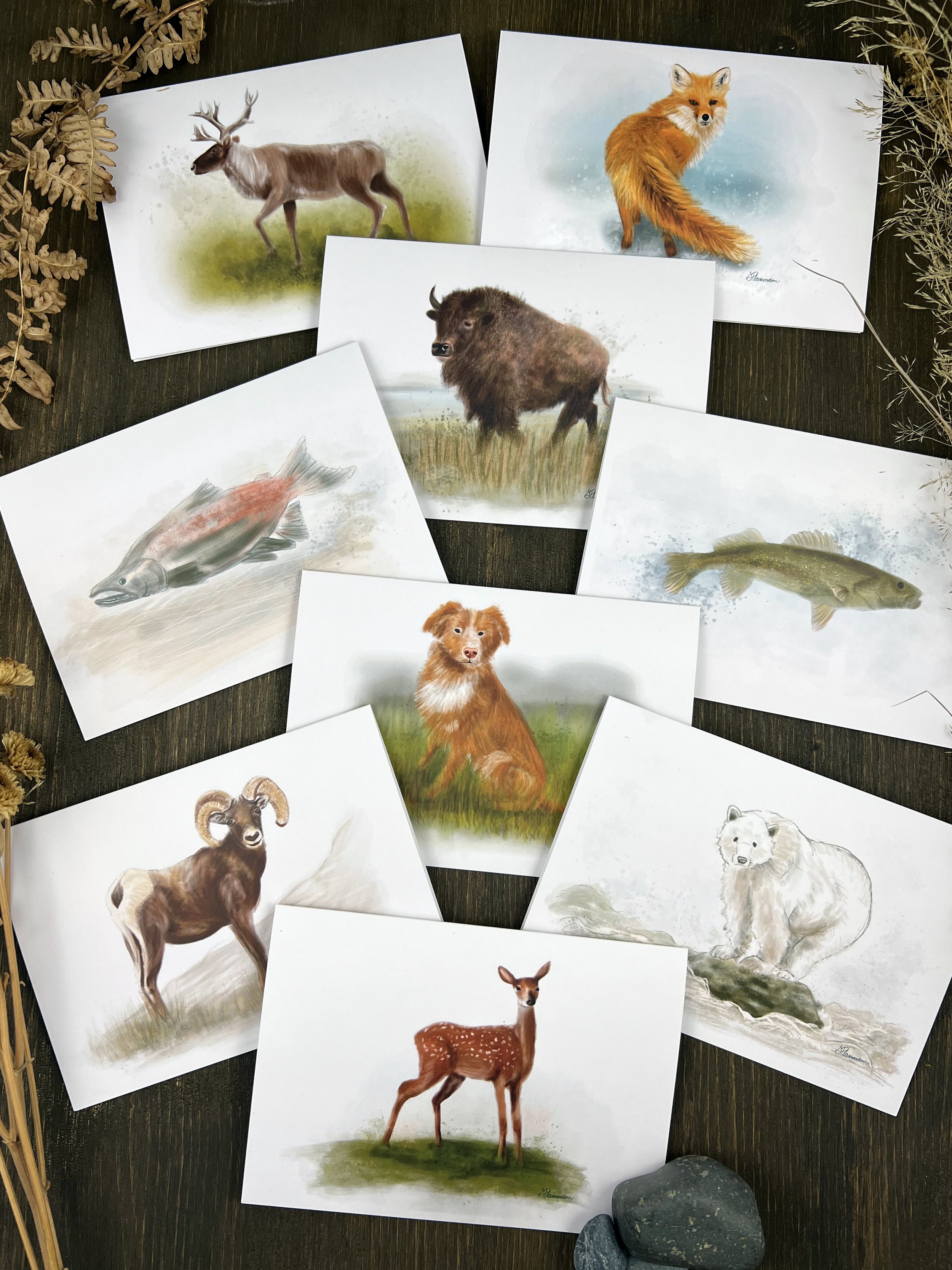 Cards Animals.jpg