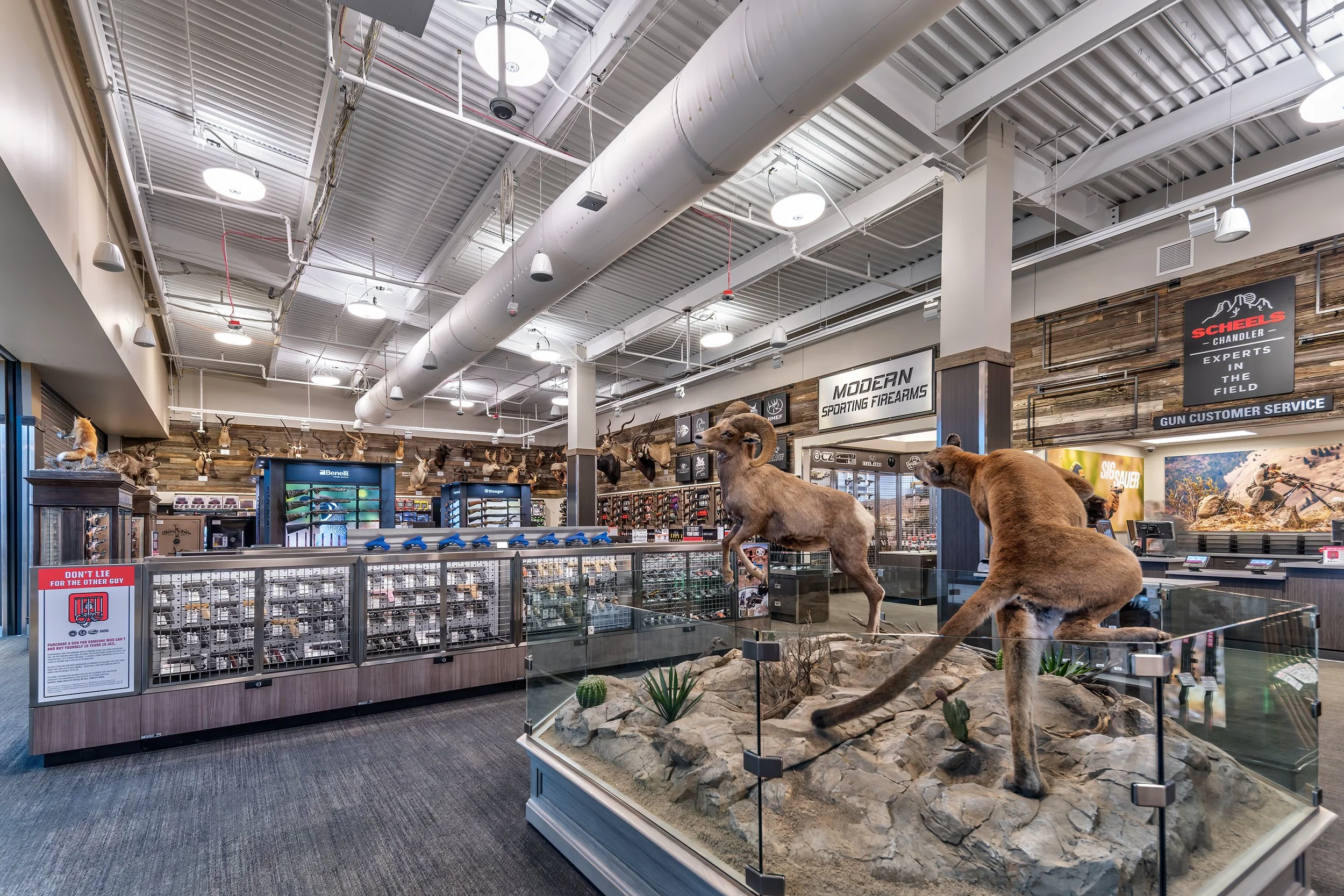 SCHEELS, Chandler — Plenium Builders | Reno Commercial Building and ...